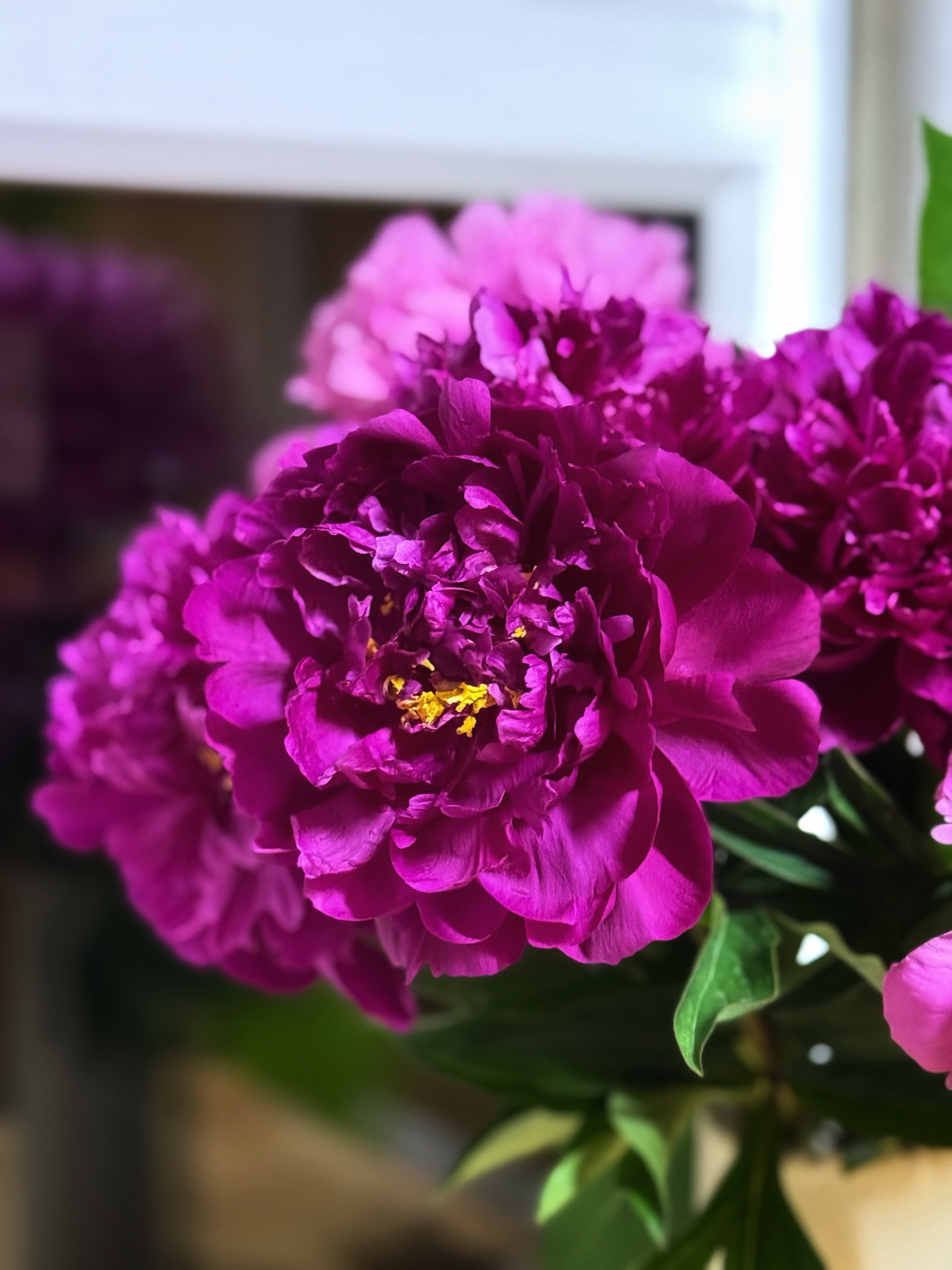 IMG_3379.jpeg