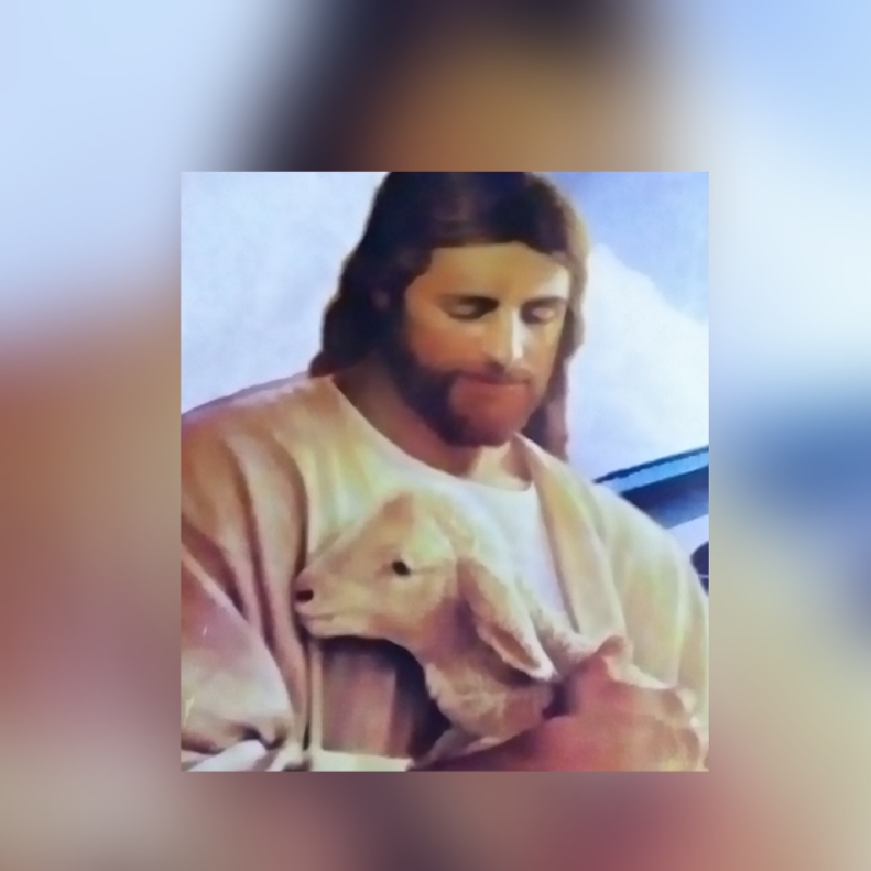 caesarapp_20256720284927.jpg