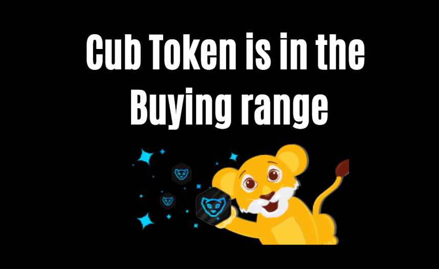 @alokkumar121/cub-token-price-is-in-the-buying-range