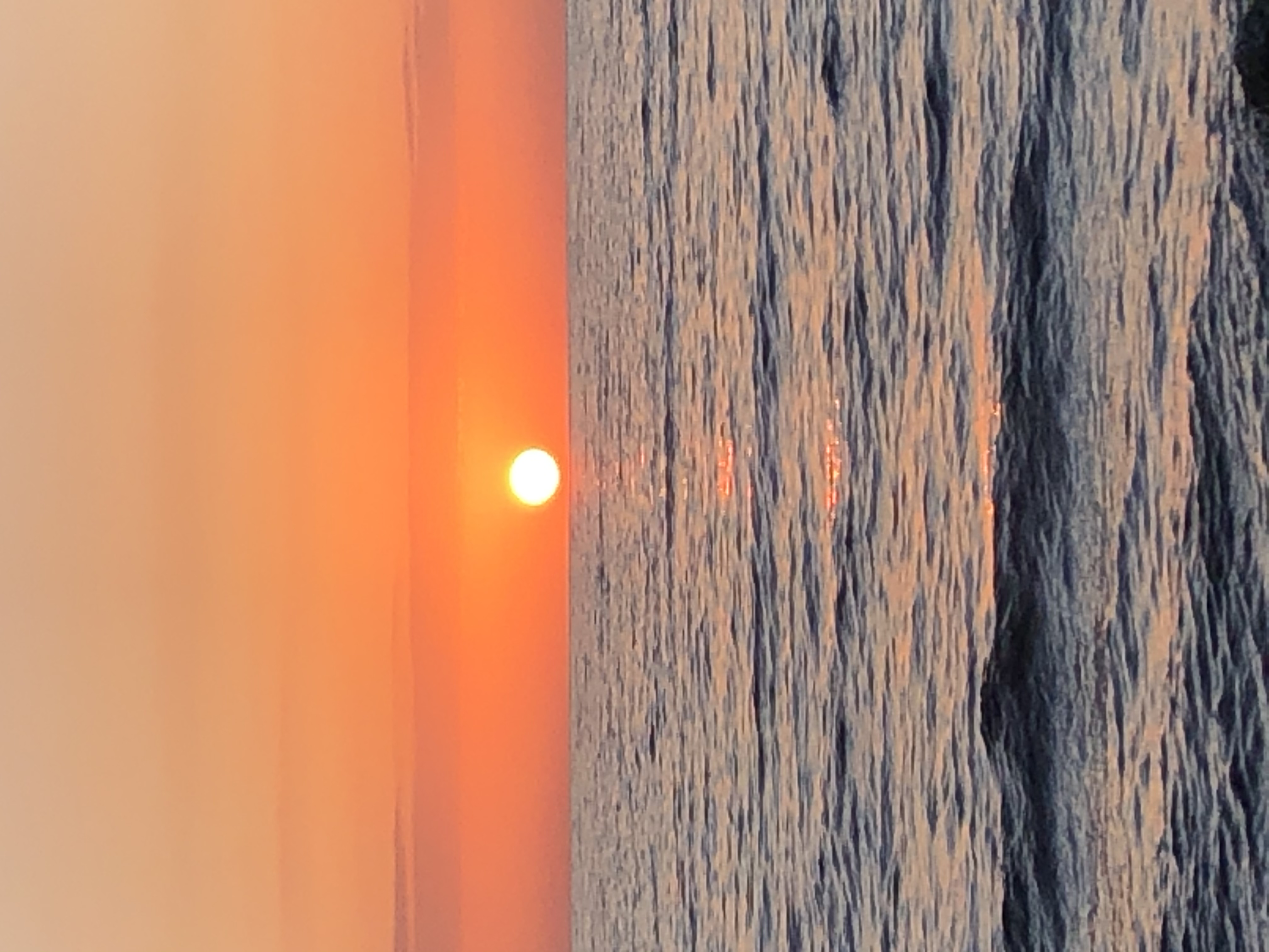 D8D05133-A5A5-447C-84CB-79CCF7FA943F.jpeg