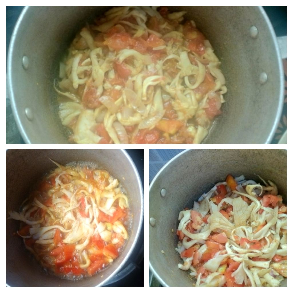 IMG_20250817_212142-COLLAGE.jpg