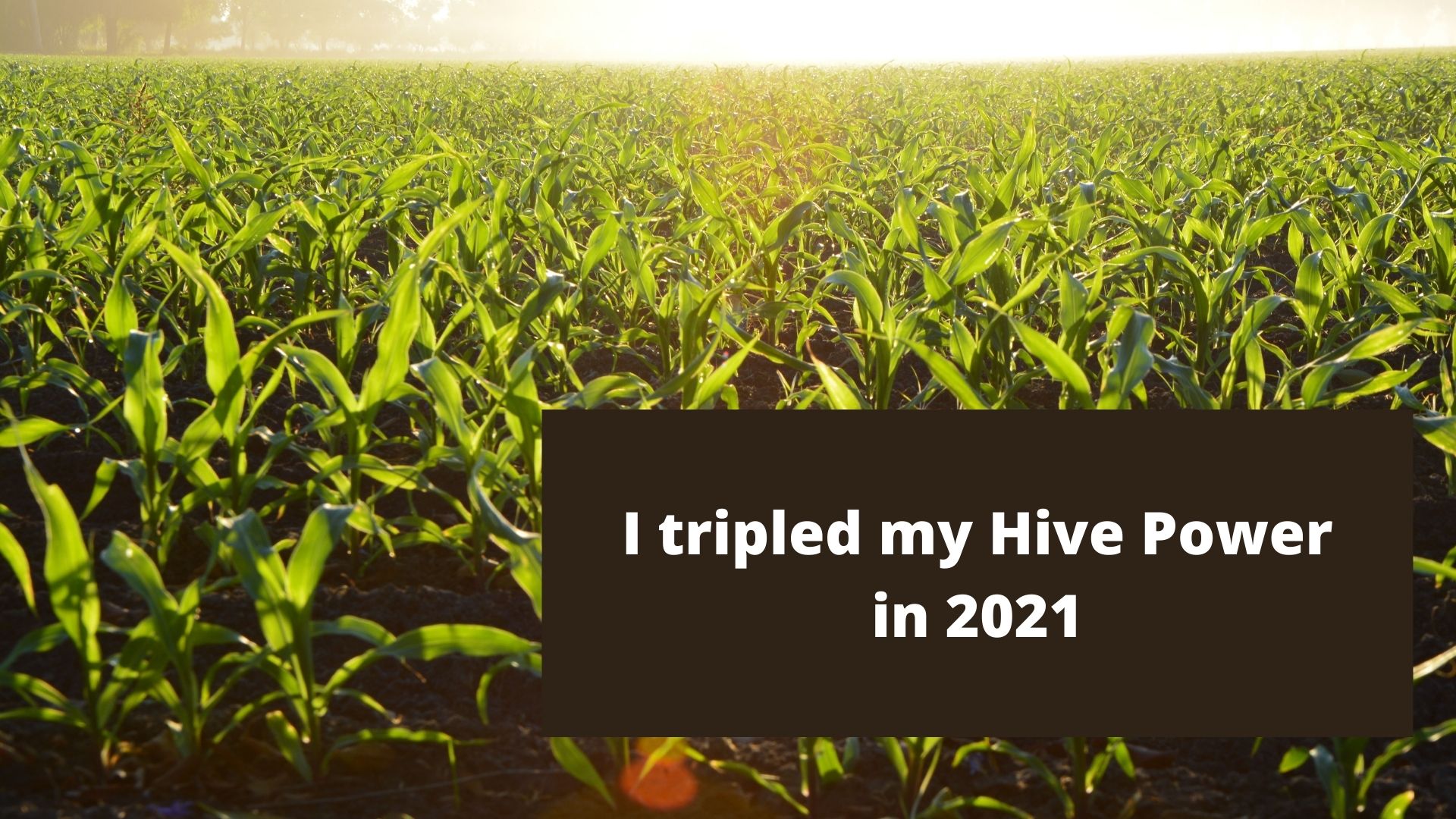 tripled hive power.jpg