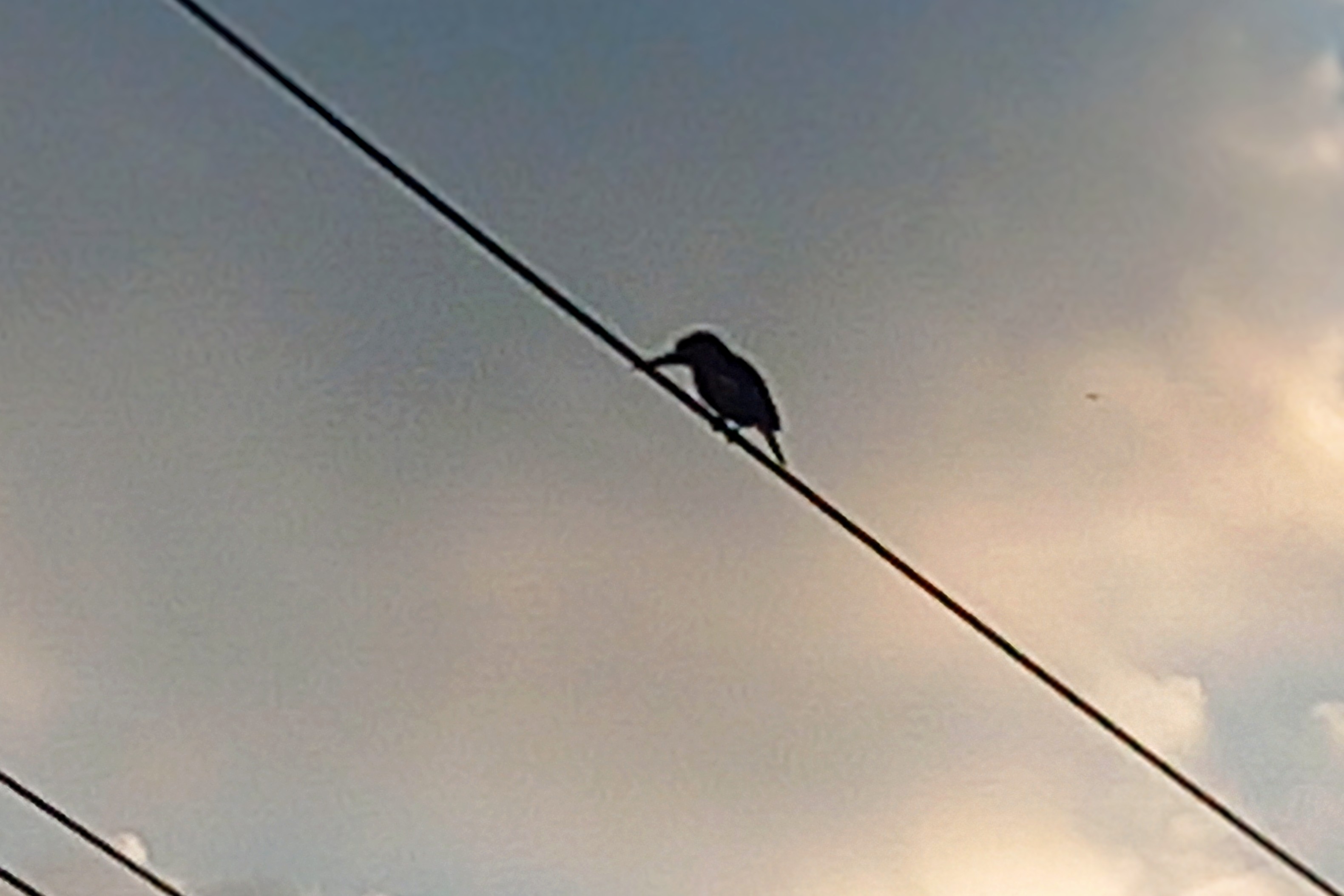 20250713_055137~2.jpg