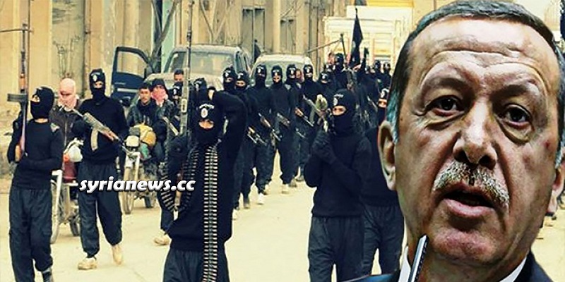 Erdogan Mercenary Terrorists.jpg