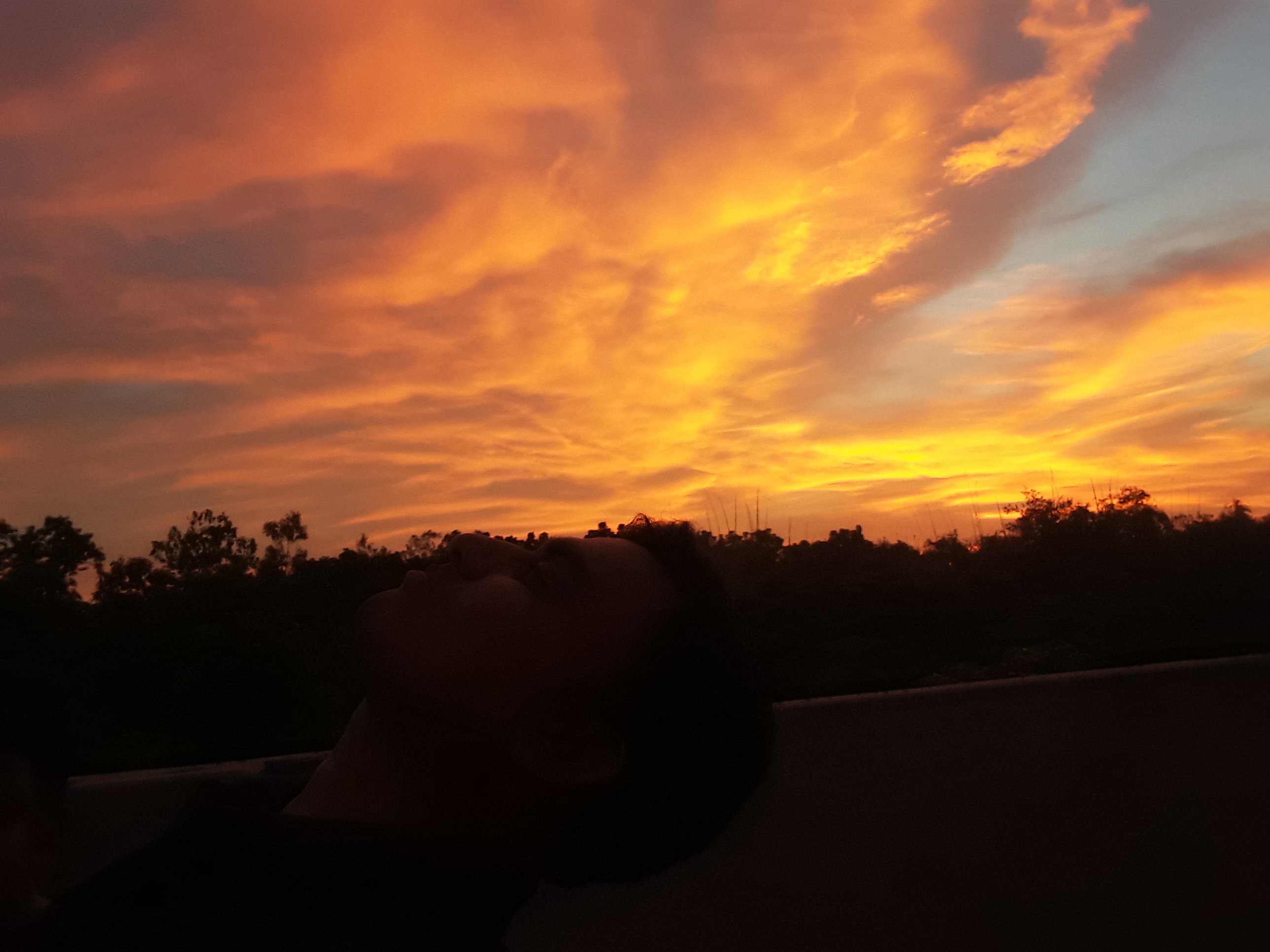 20190830_183516.jpg