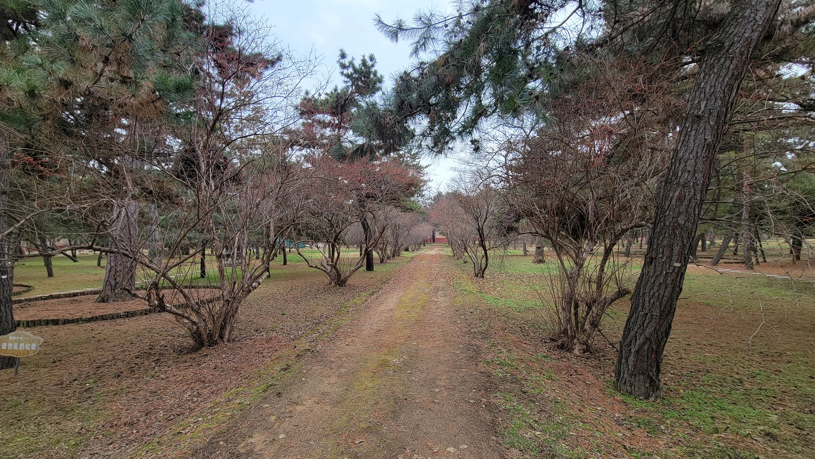 20221119_131609.jpg