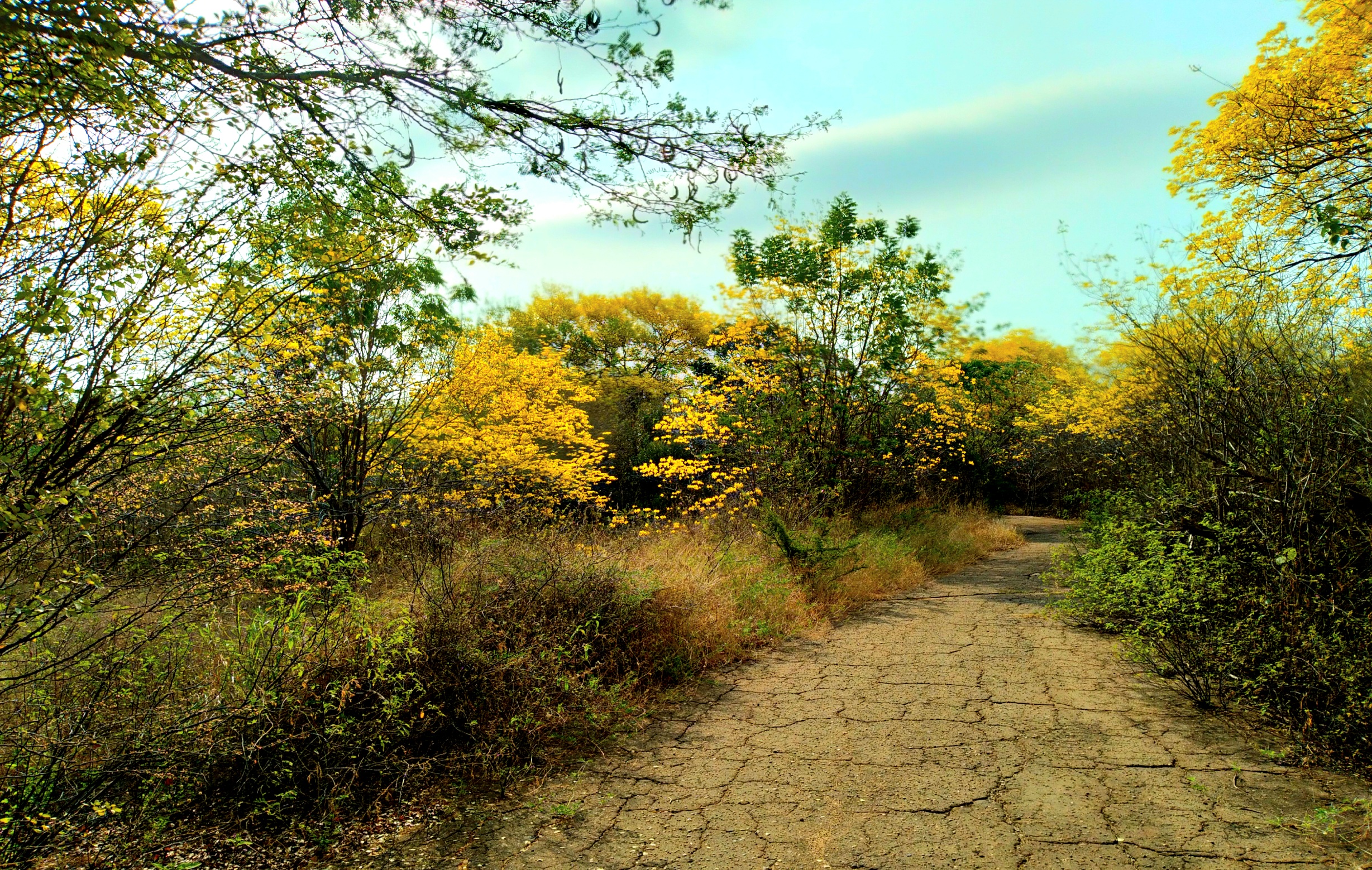 20250321_090830.jpg