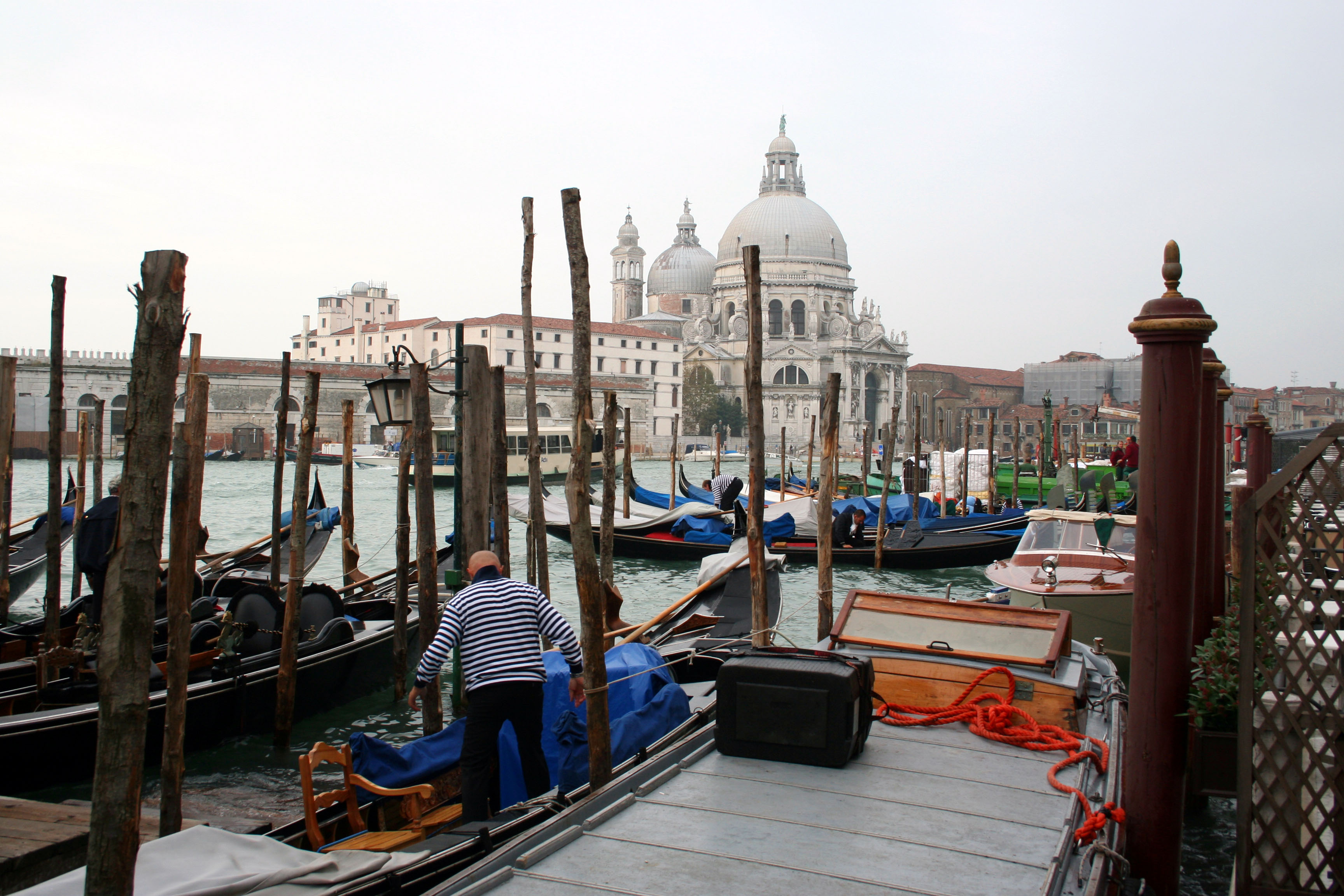IMG_2641.jpg