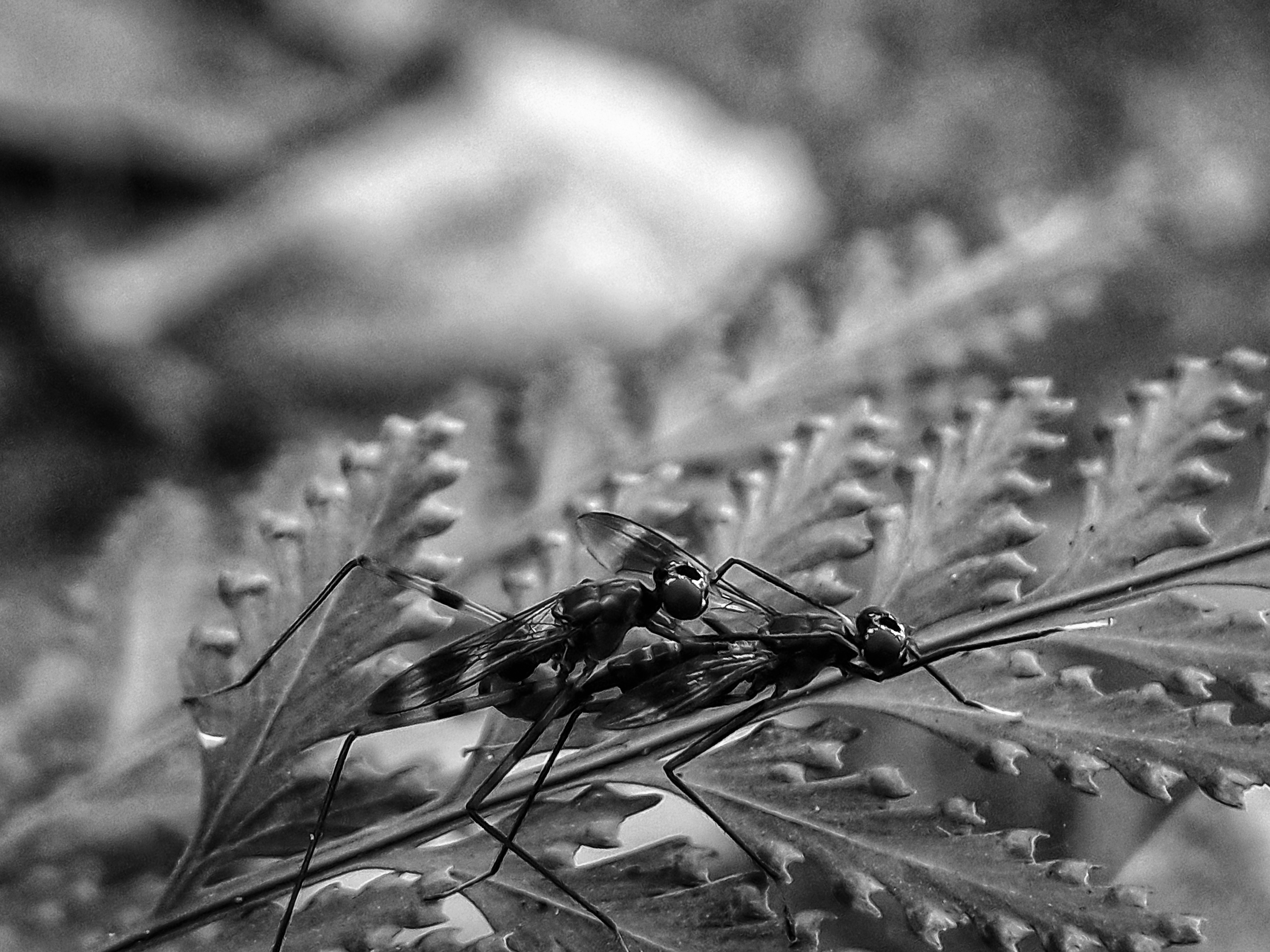 20220417_175233(0)-01 (1).jpg