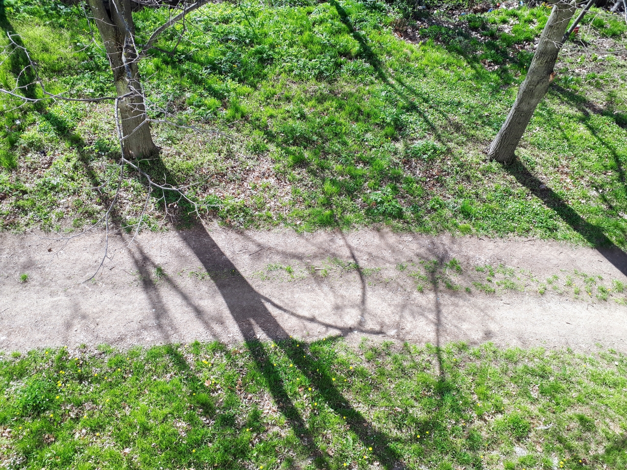 20220415_091028.jpg