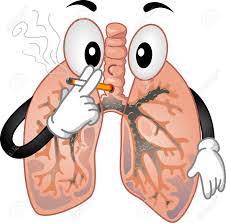 pulmones.jpg