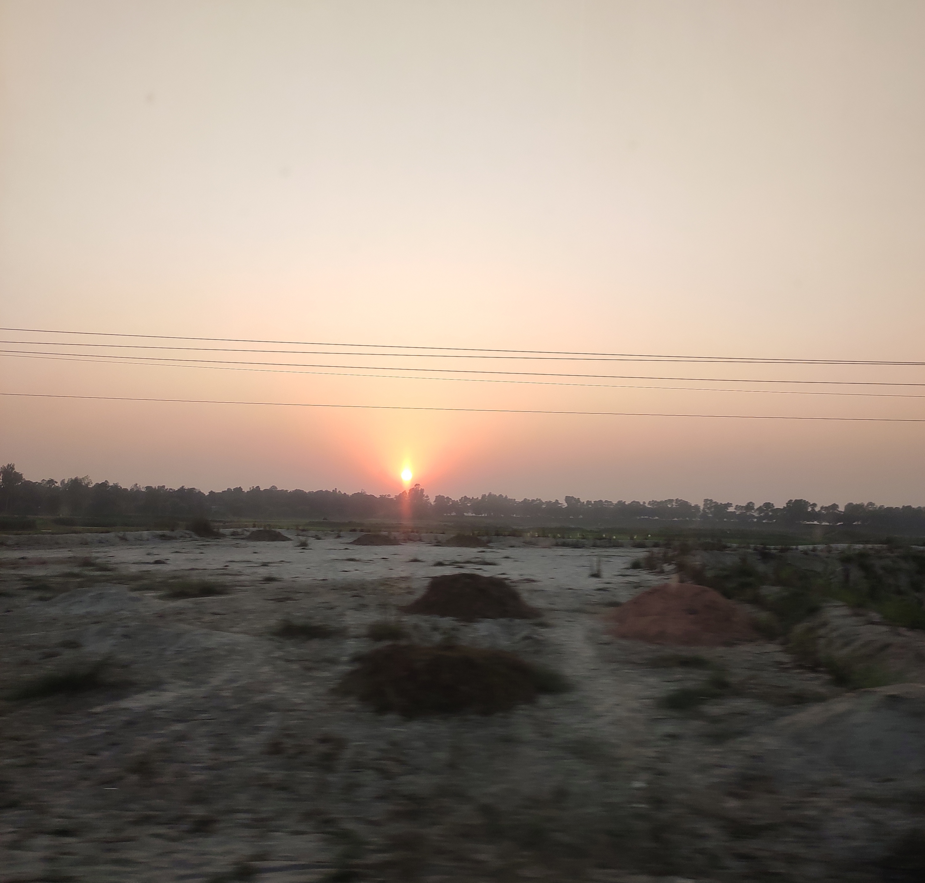 IMG_20250317_114004.jpg