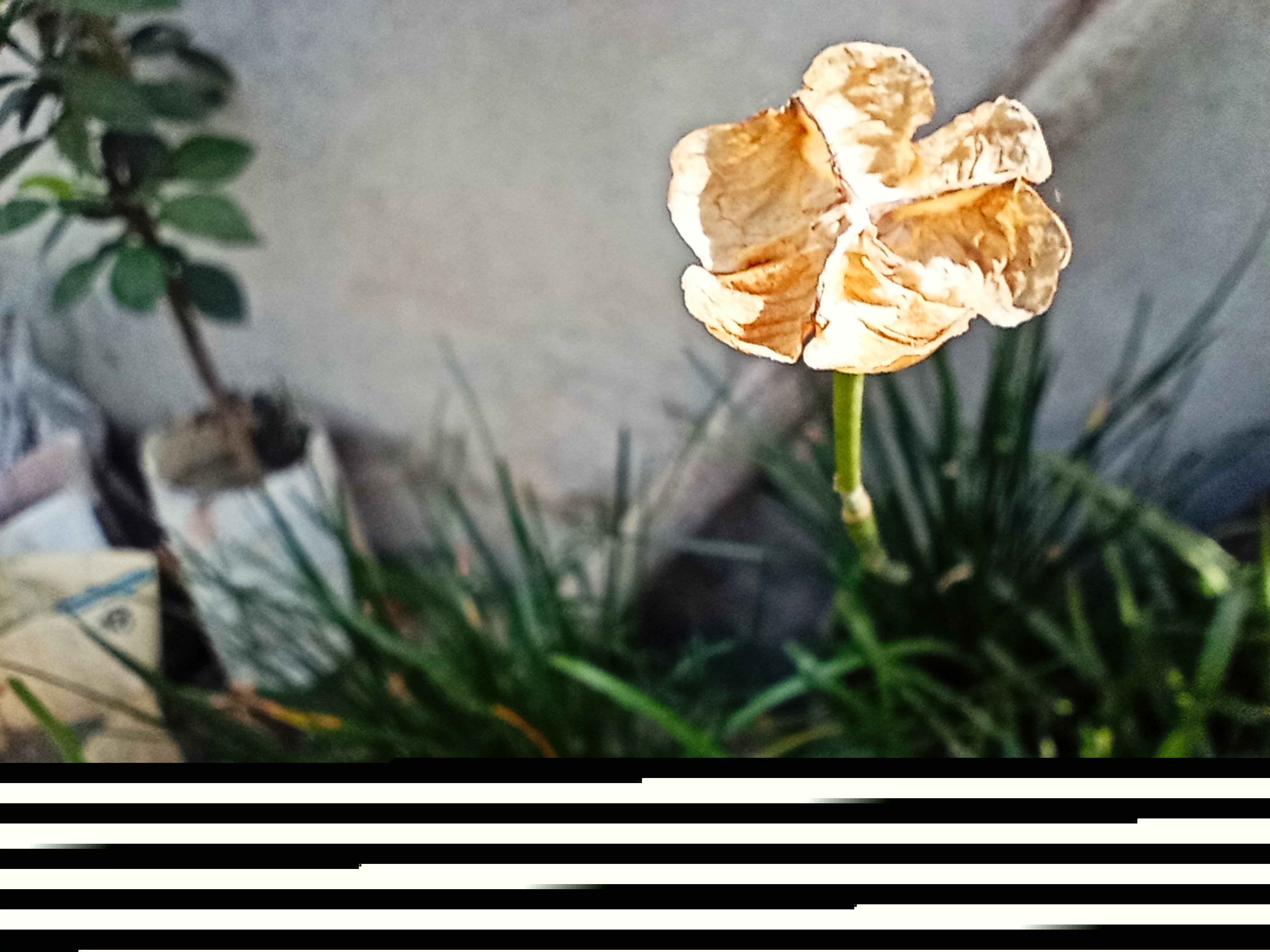 _1690872295345.jpg