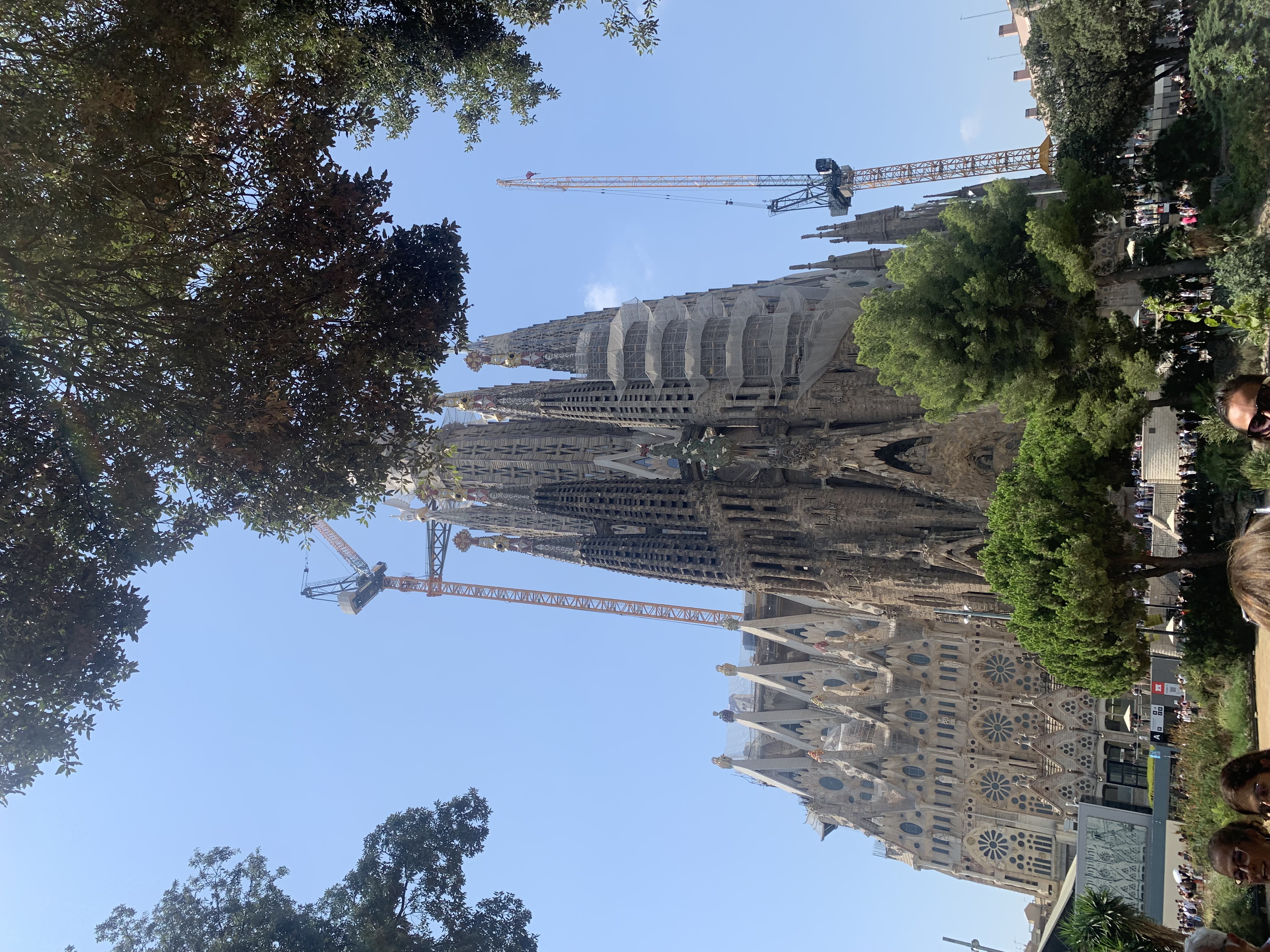 IMG_1862.jpeg
