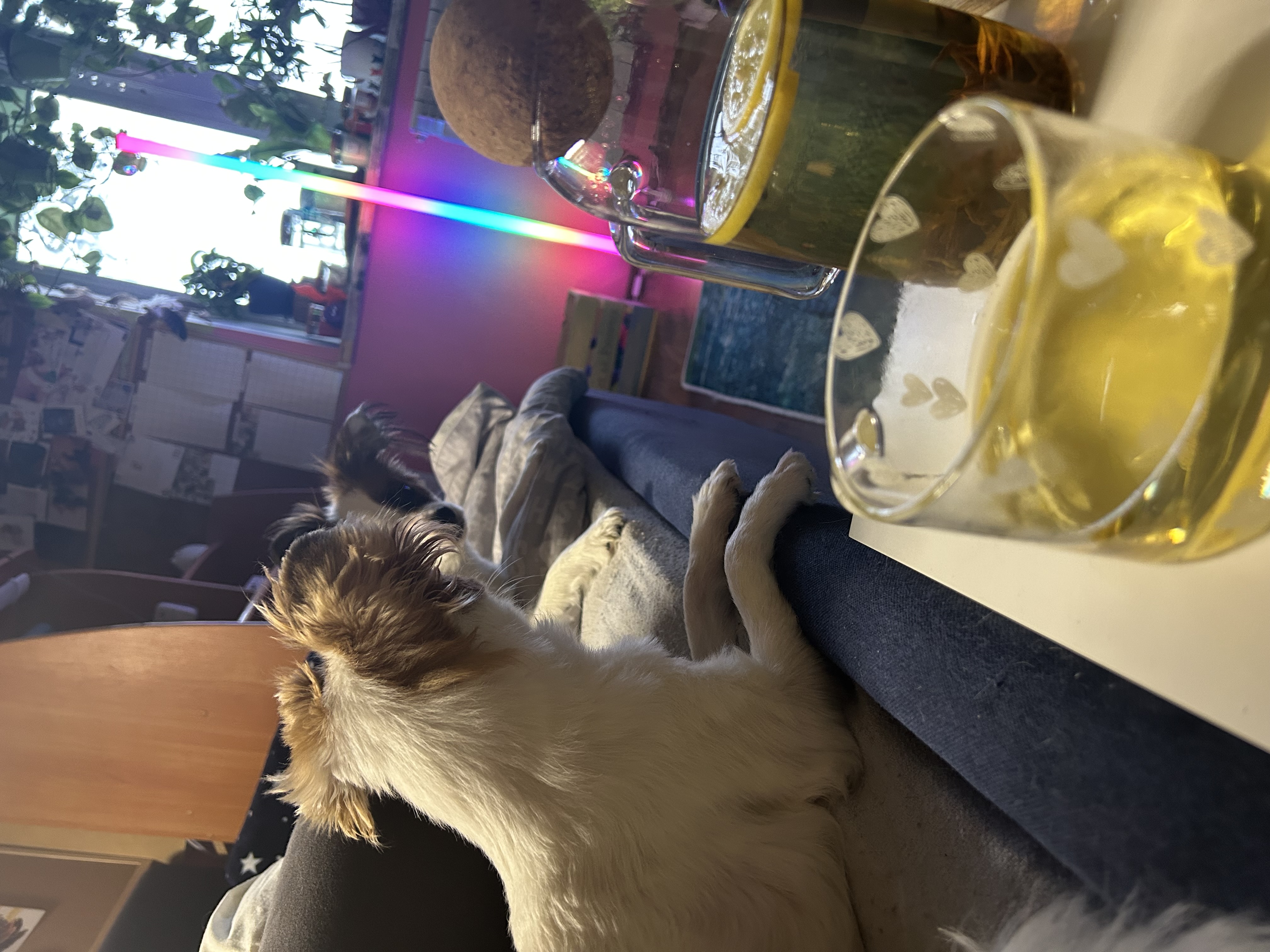 IMG_7577.jpeg
