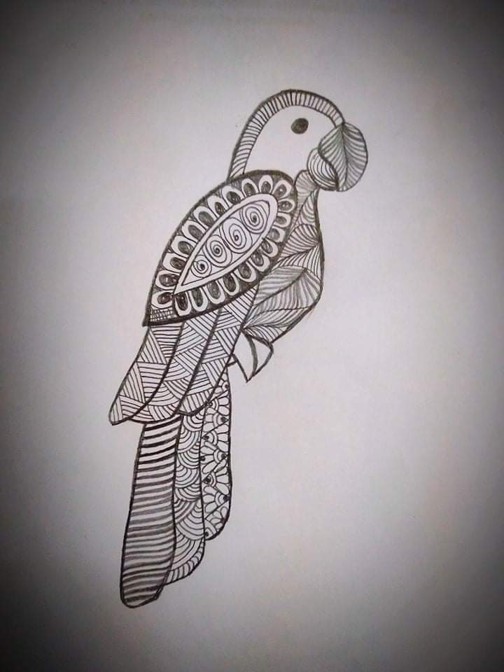 How to Draw a Parrot | Nil Tech - shop.nil-tech