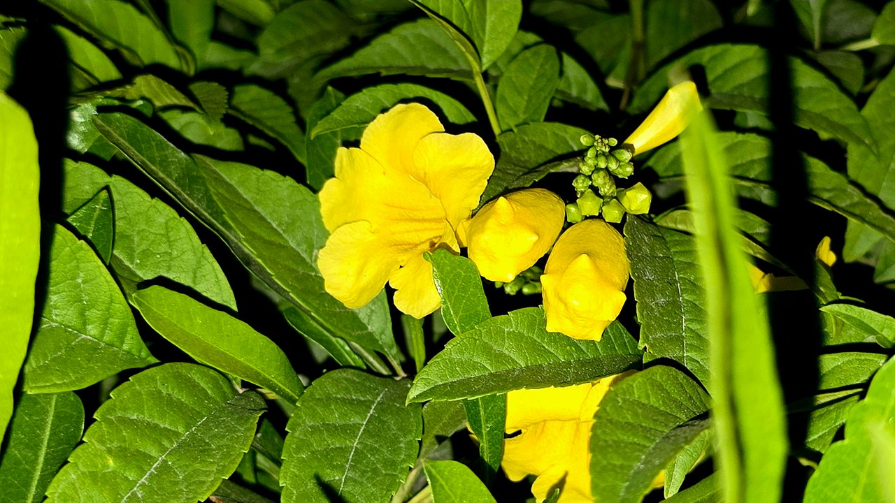 3jpR3paJ37V8JxyWvtbhvcm5k3roJwHBR4WTALx7XaoRovVpCfrbtxyxoMjKktWqLdz7AfHSFPeLnz2PmzD3VeMd1XnD7q6vzGA6izgukQqJDroj7CuueBcA9X3FvLE3n1PVg.jpg