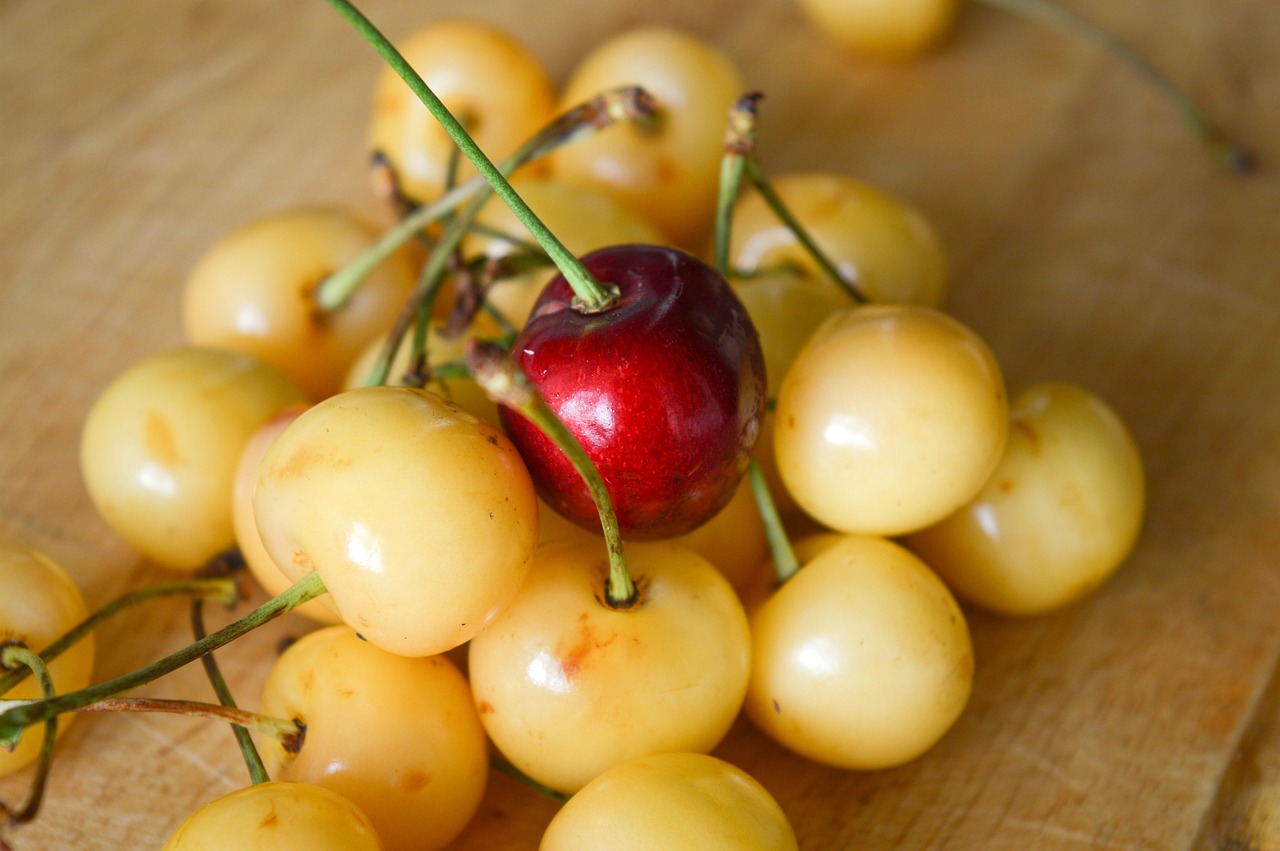 cherry-1484247_1280.jpg