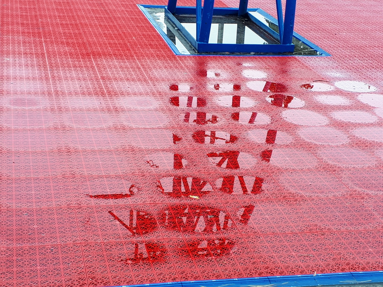 20250717_152455.jpg