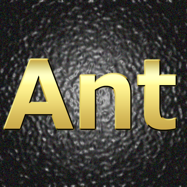 ANT.jpg