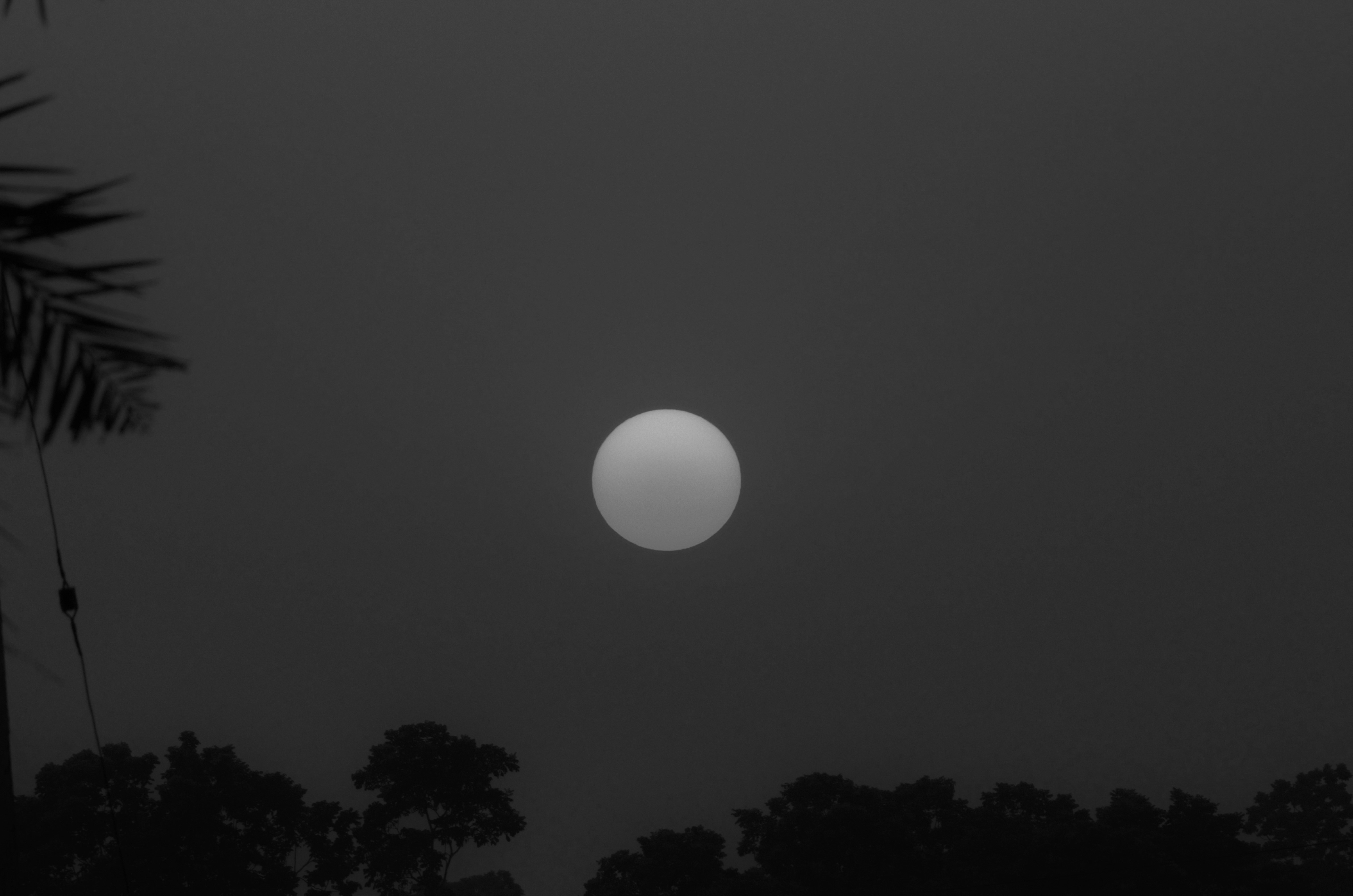 sunset.jpg