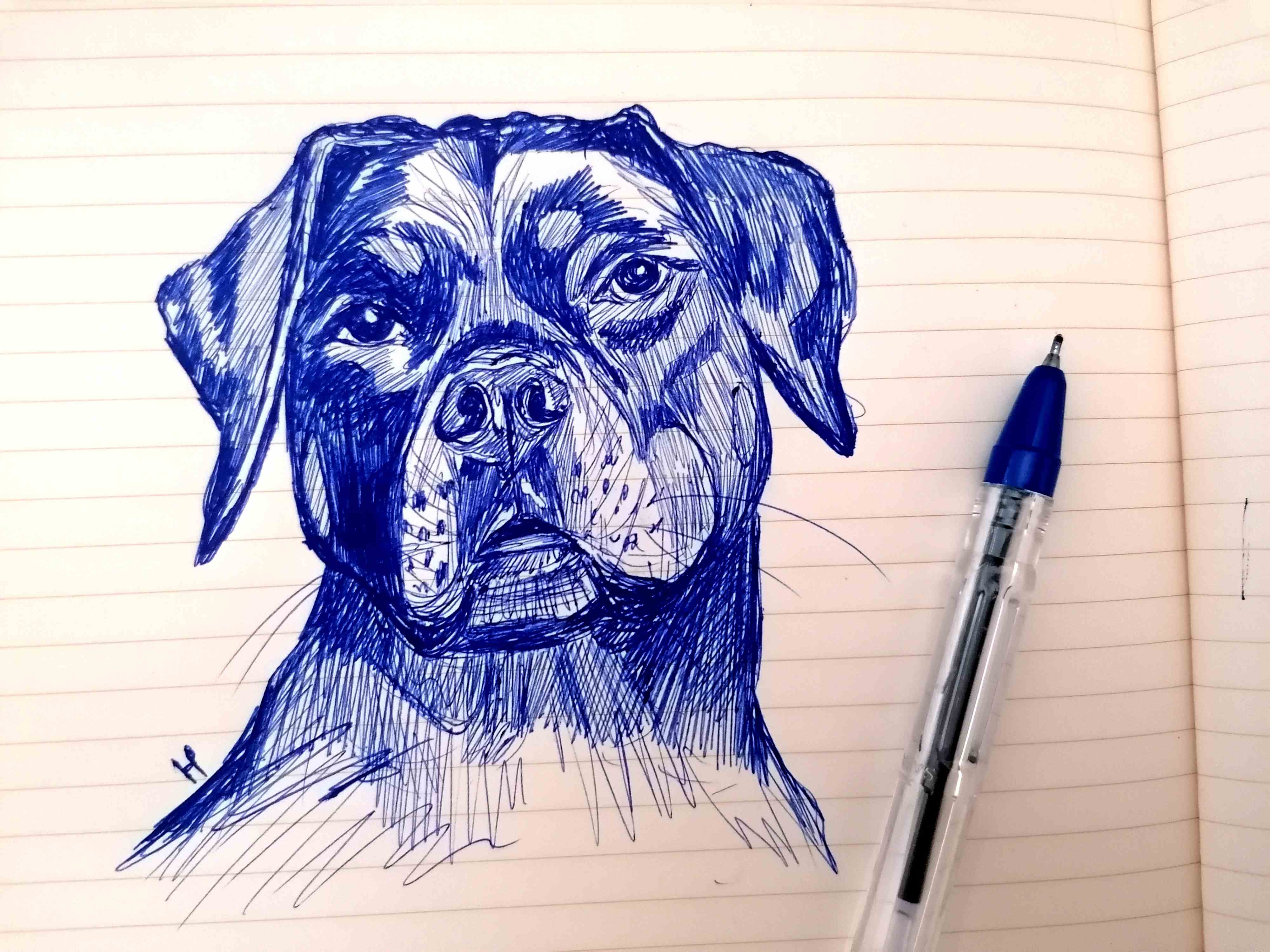 554650957061830878.jpg