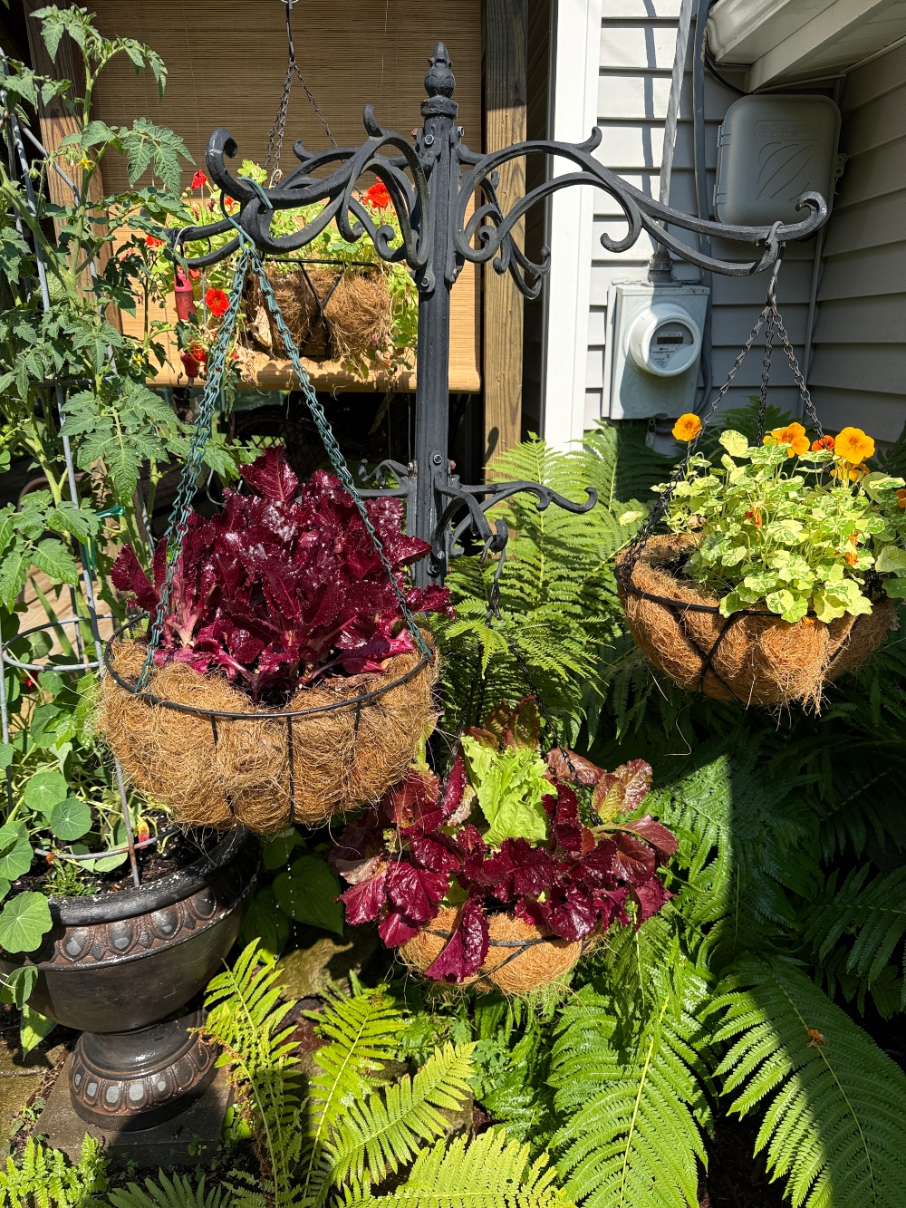 hivegarden-flowers-baskets.jpg