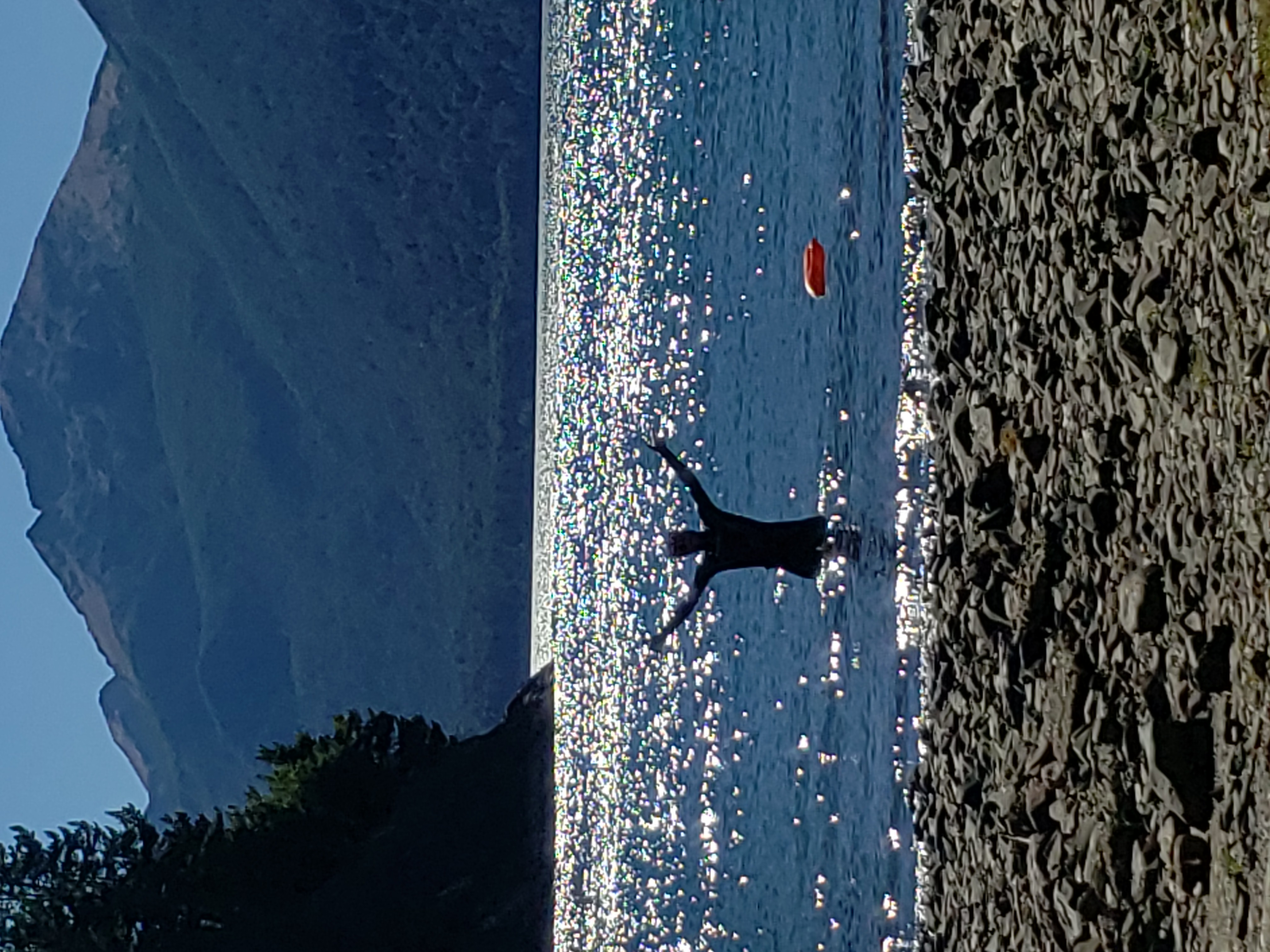 IMG_20220207_170359.jpg