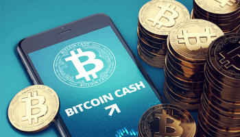 bitcoin-cash.png