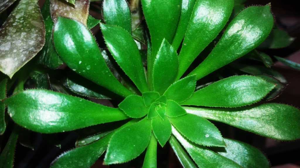 CYMERA_20201120_124543.jpg