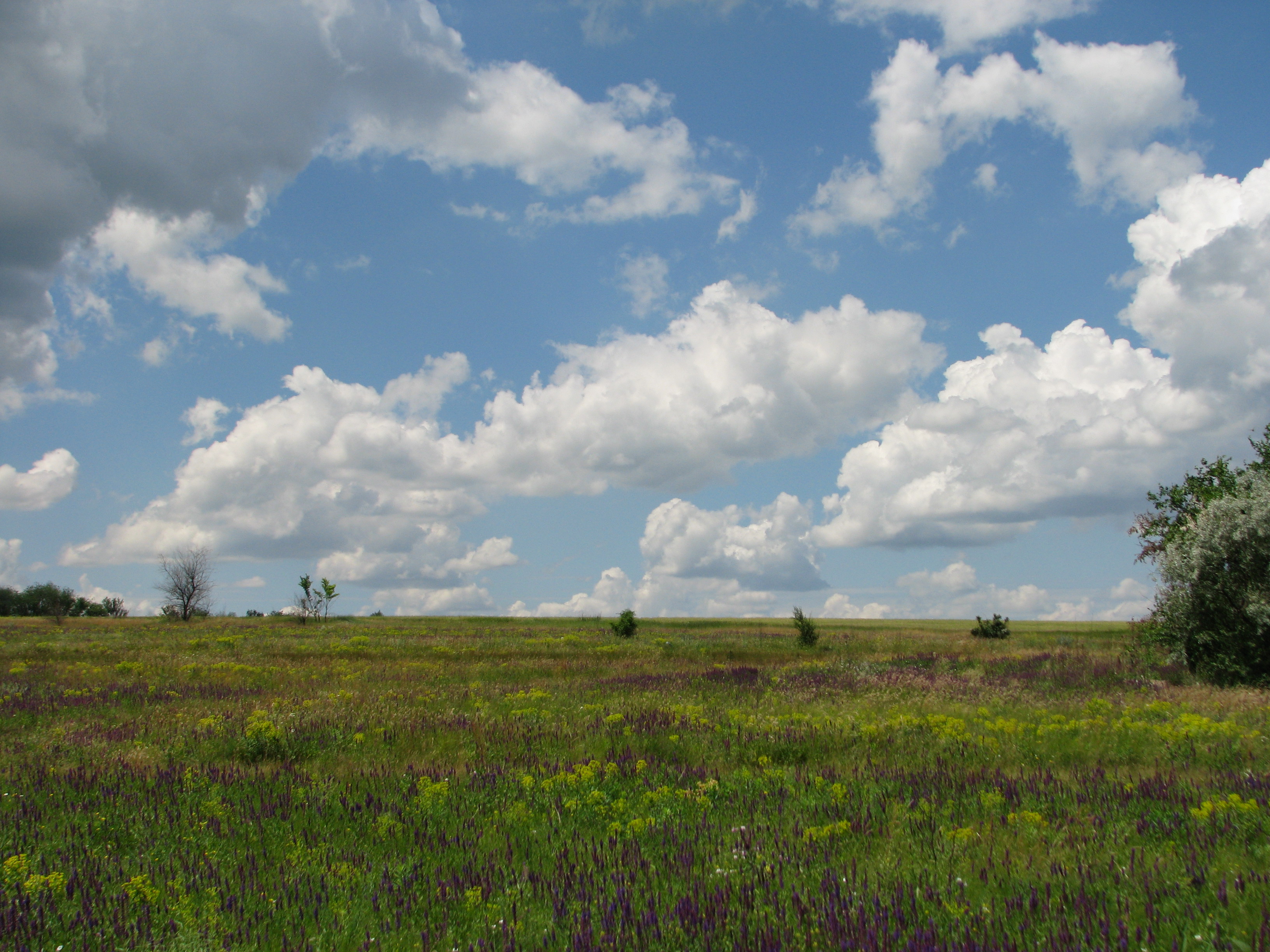2009.06.14 12.19.17.jpg