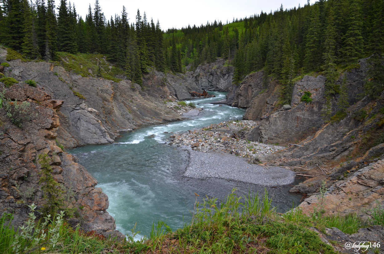 sheep valley provincial park (1).jpg