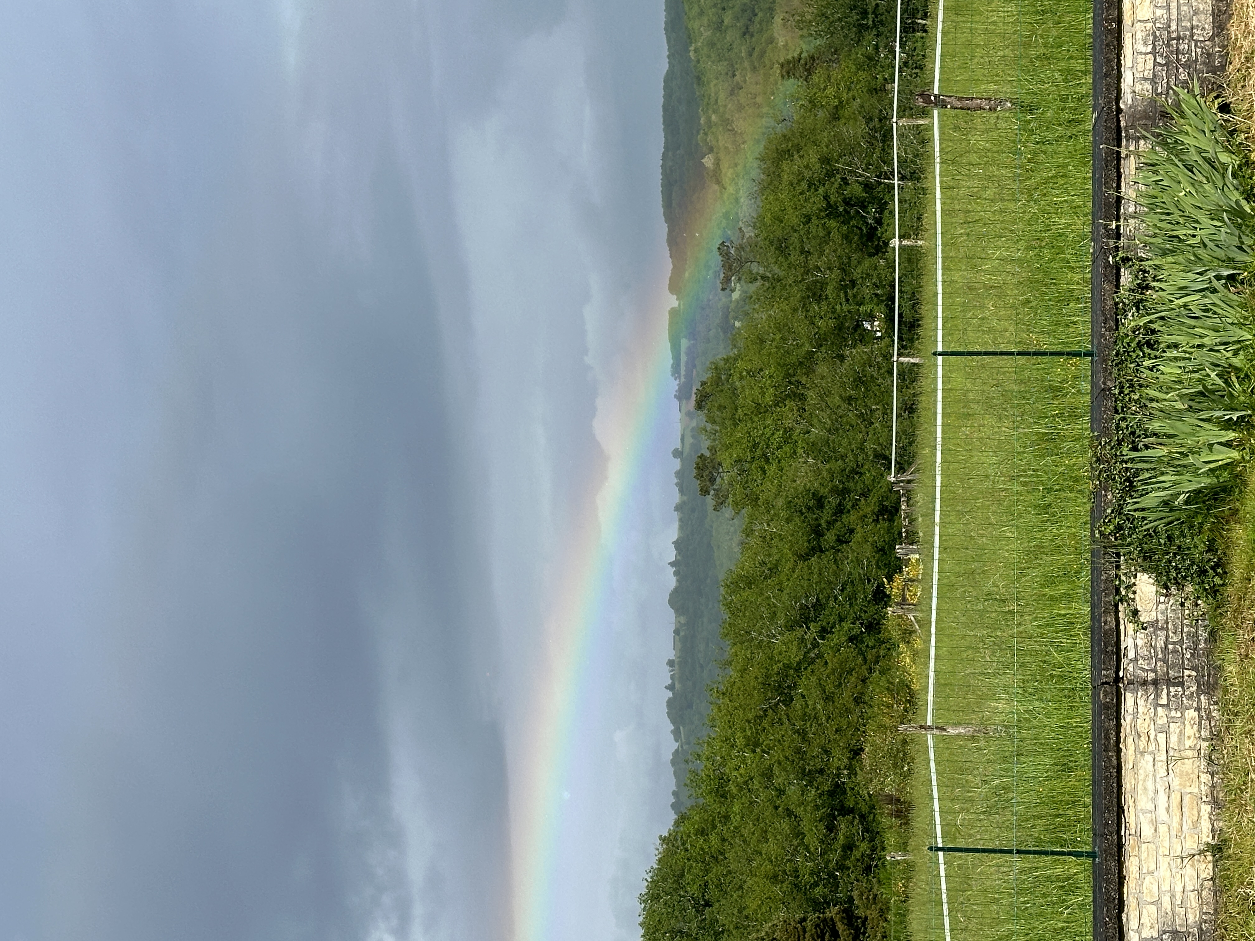 IMG_2547.jpeg