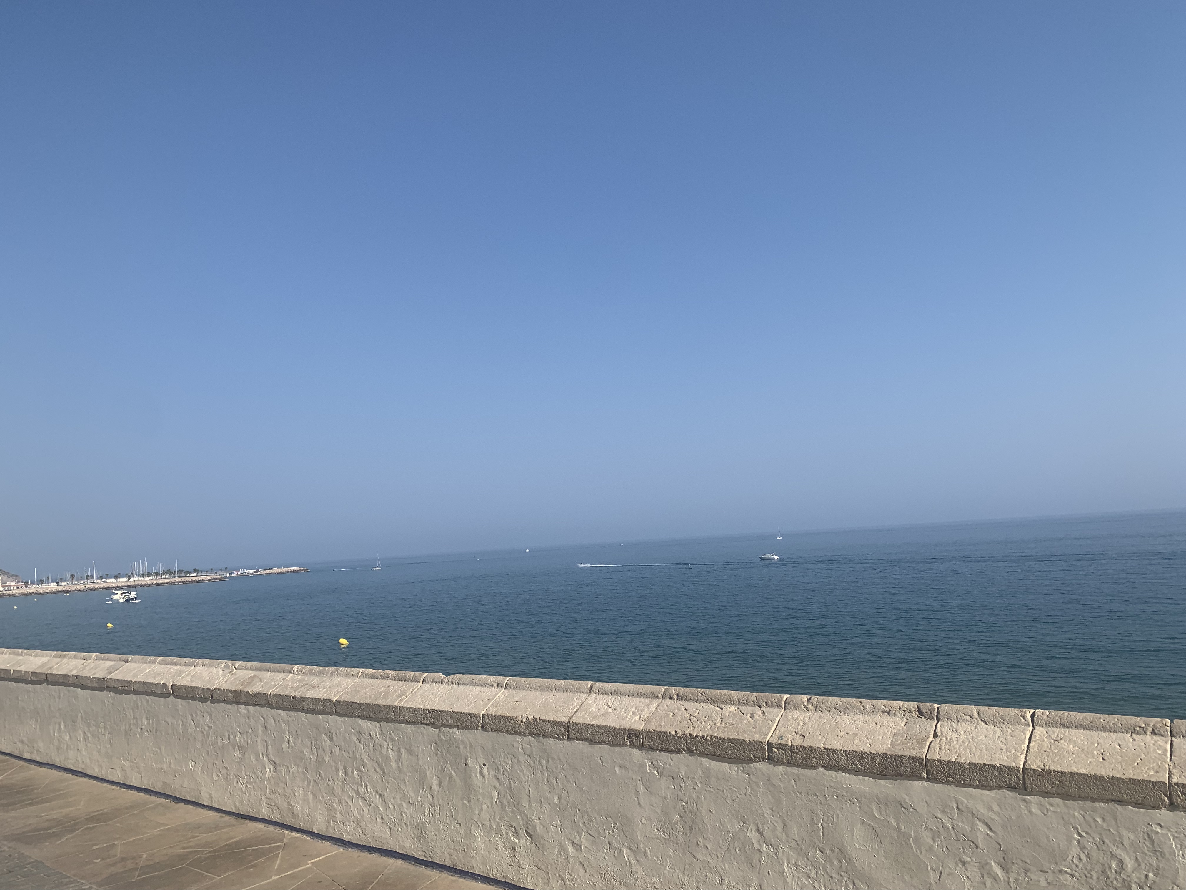 IMG_2044.jpeg