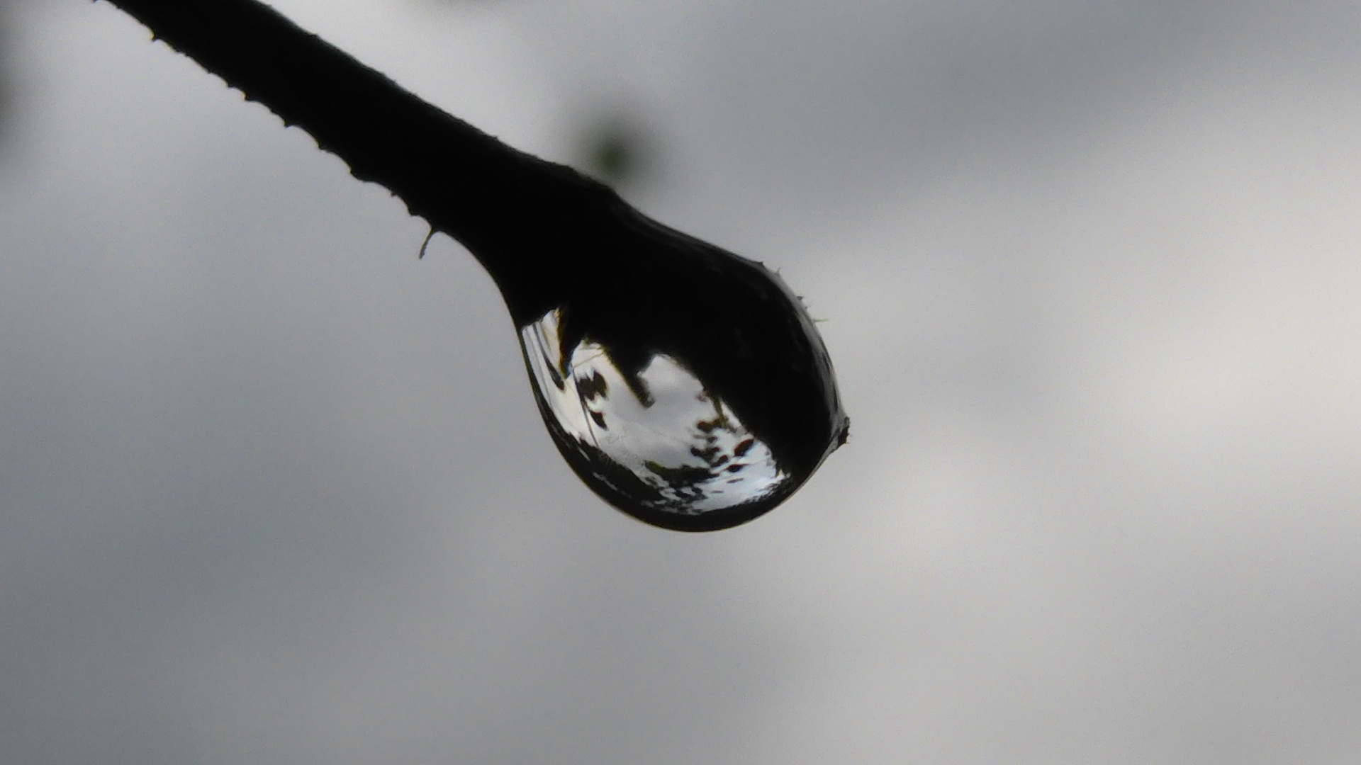 Waters-Droplets-Drops-Wet-Publicdomain (40).JPG