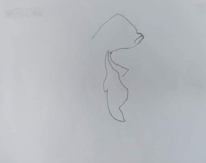 1000075263.jpg