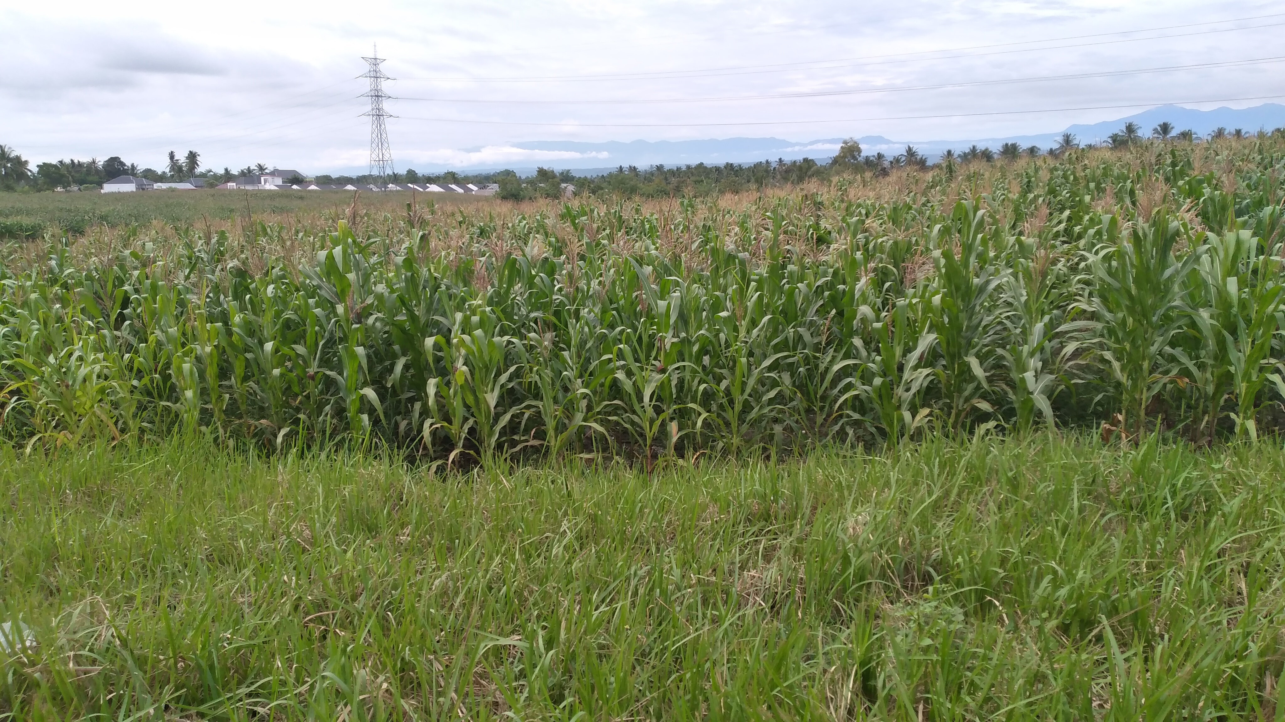 20230815_091815.jpg