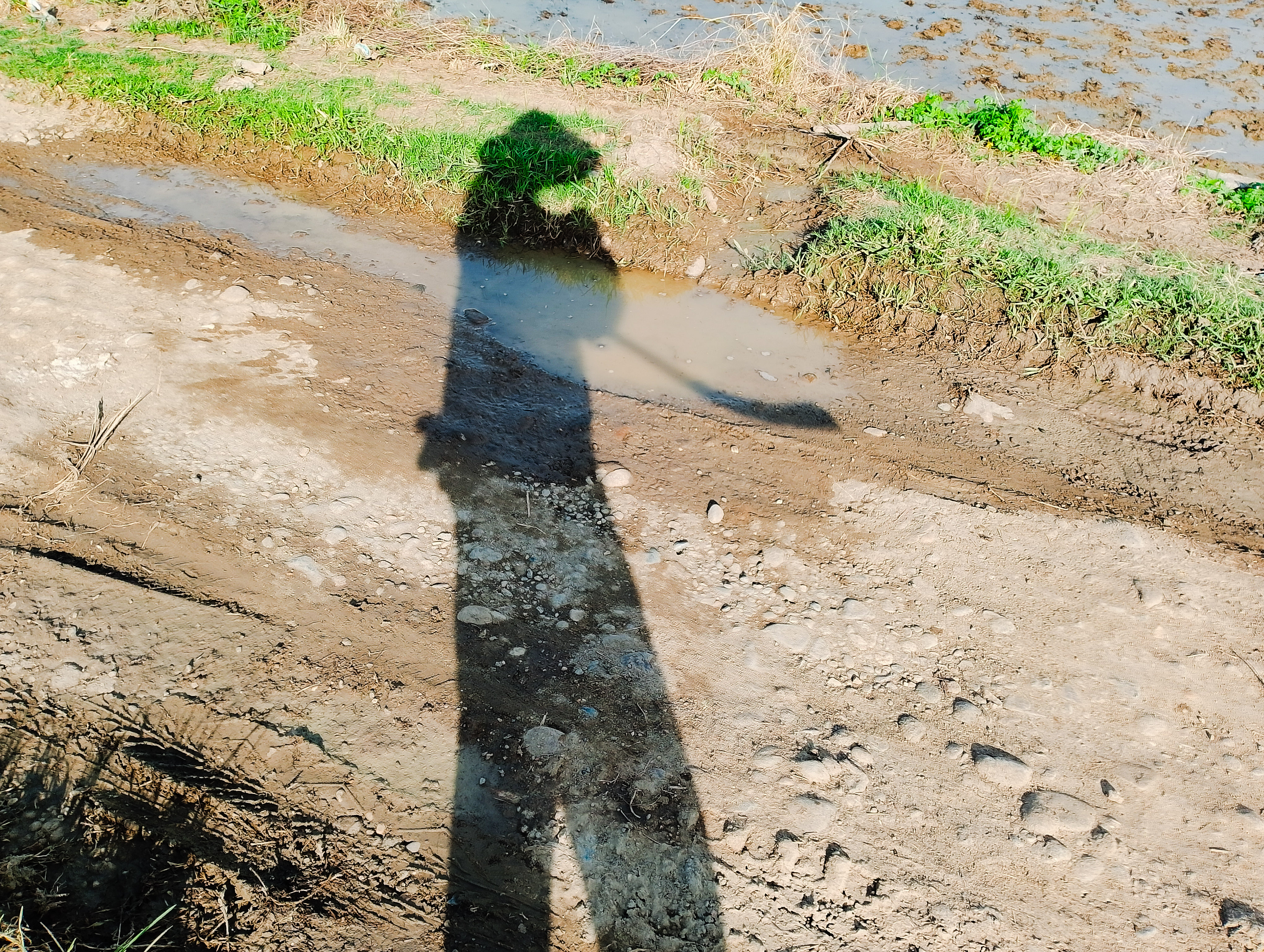 PSX_20250722_090103.jpg