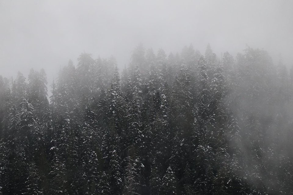 871000E6-5BB6-4F73-BCC6-9EF131E7B939.jpeg