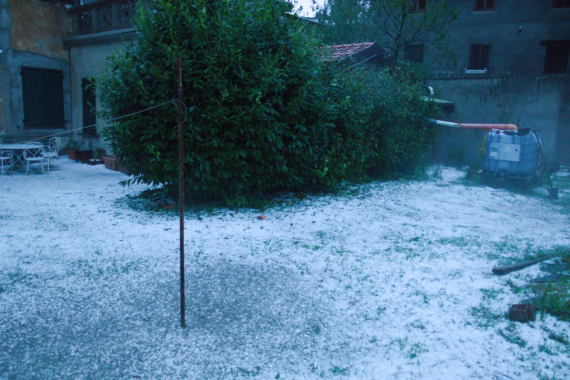 giardino_2.jpg