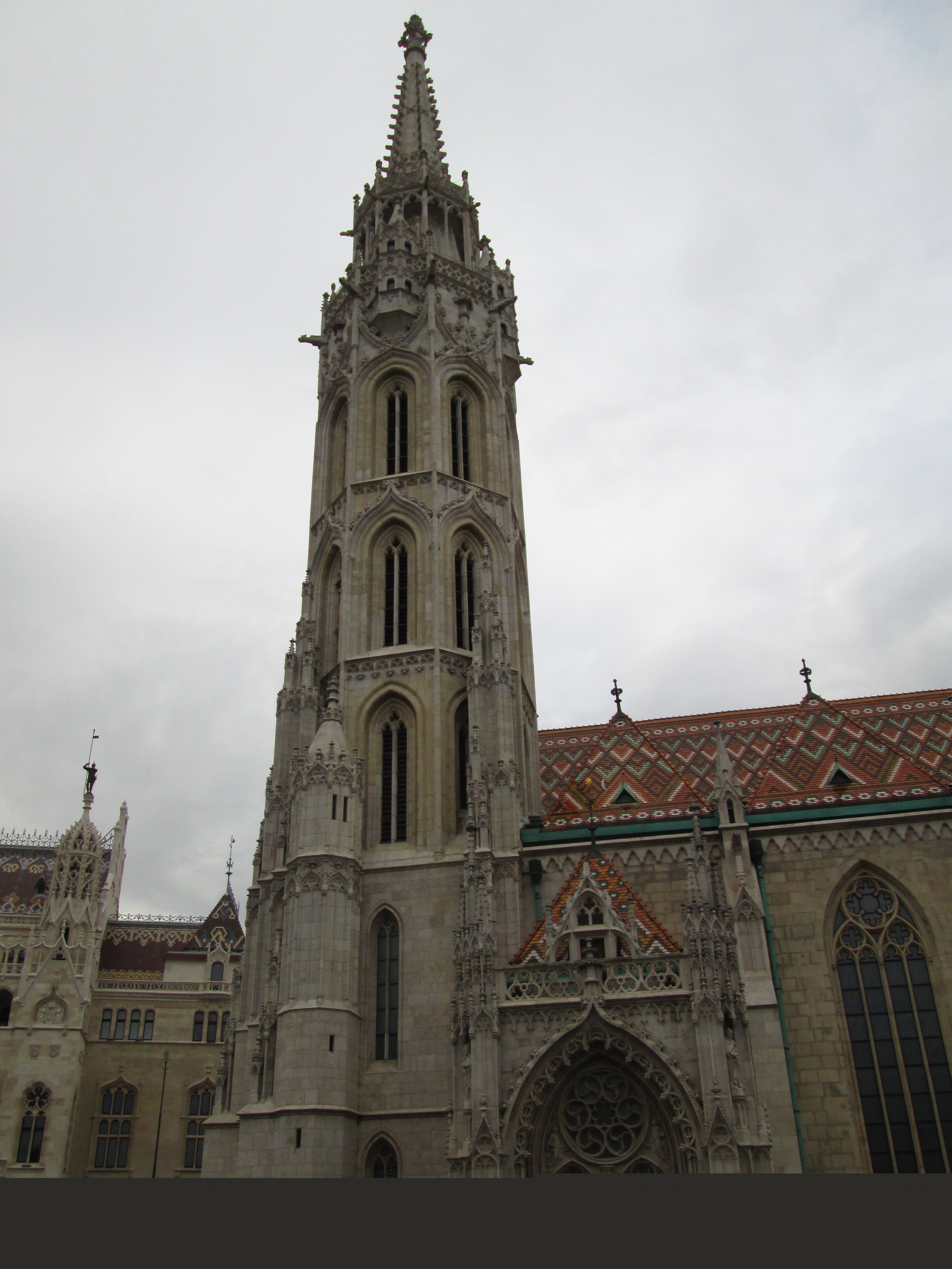 IMG_2984.JPG