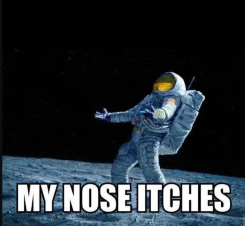 My-Nose-Itches-Funny-Astronaut-In-Space.webp (638×640) - Brave 2_19_2024 1_17_35 AM.png