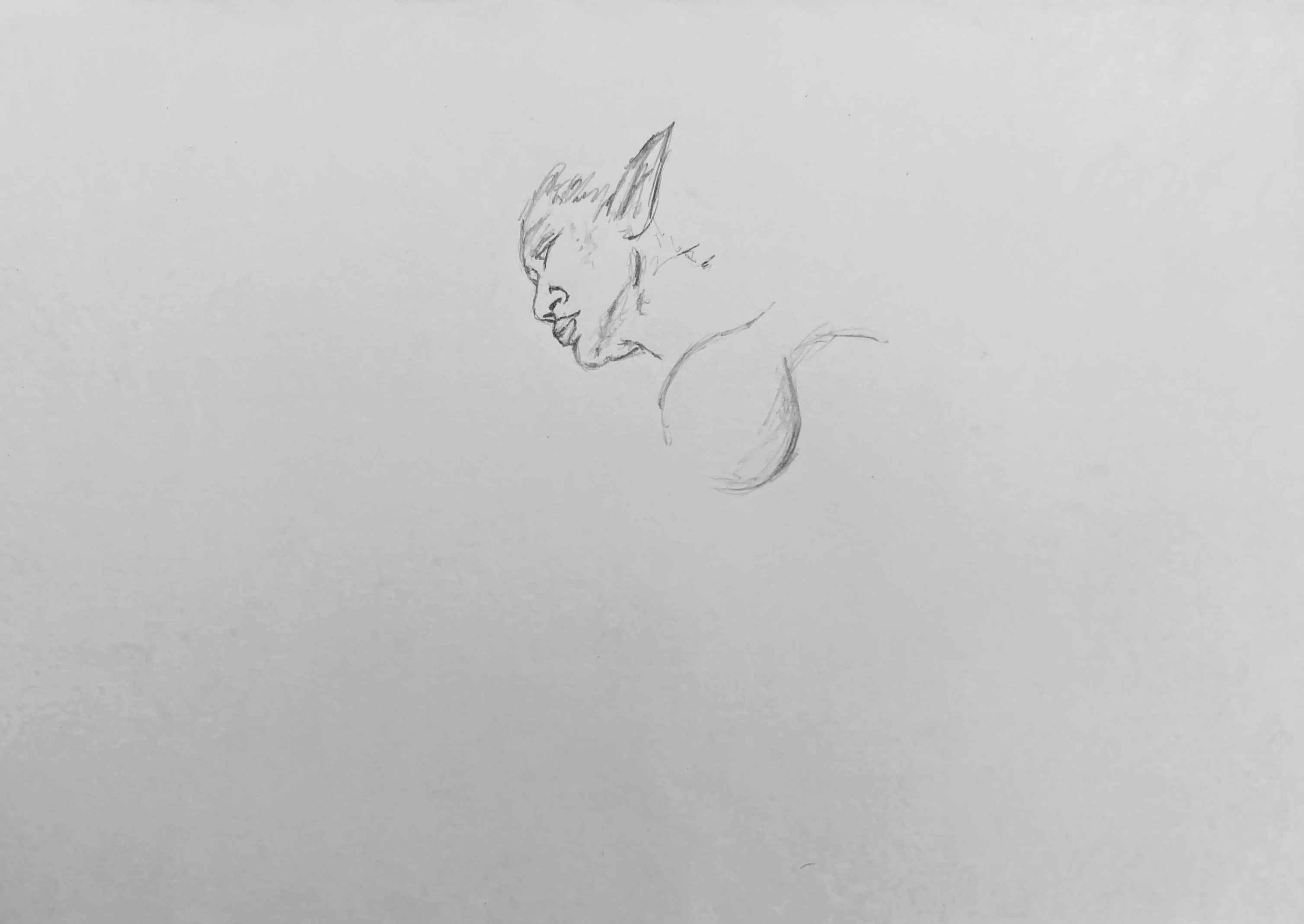 IMG_0963.jpeg