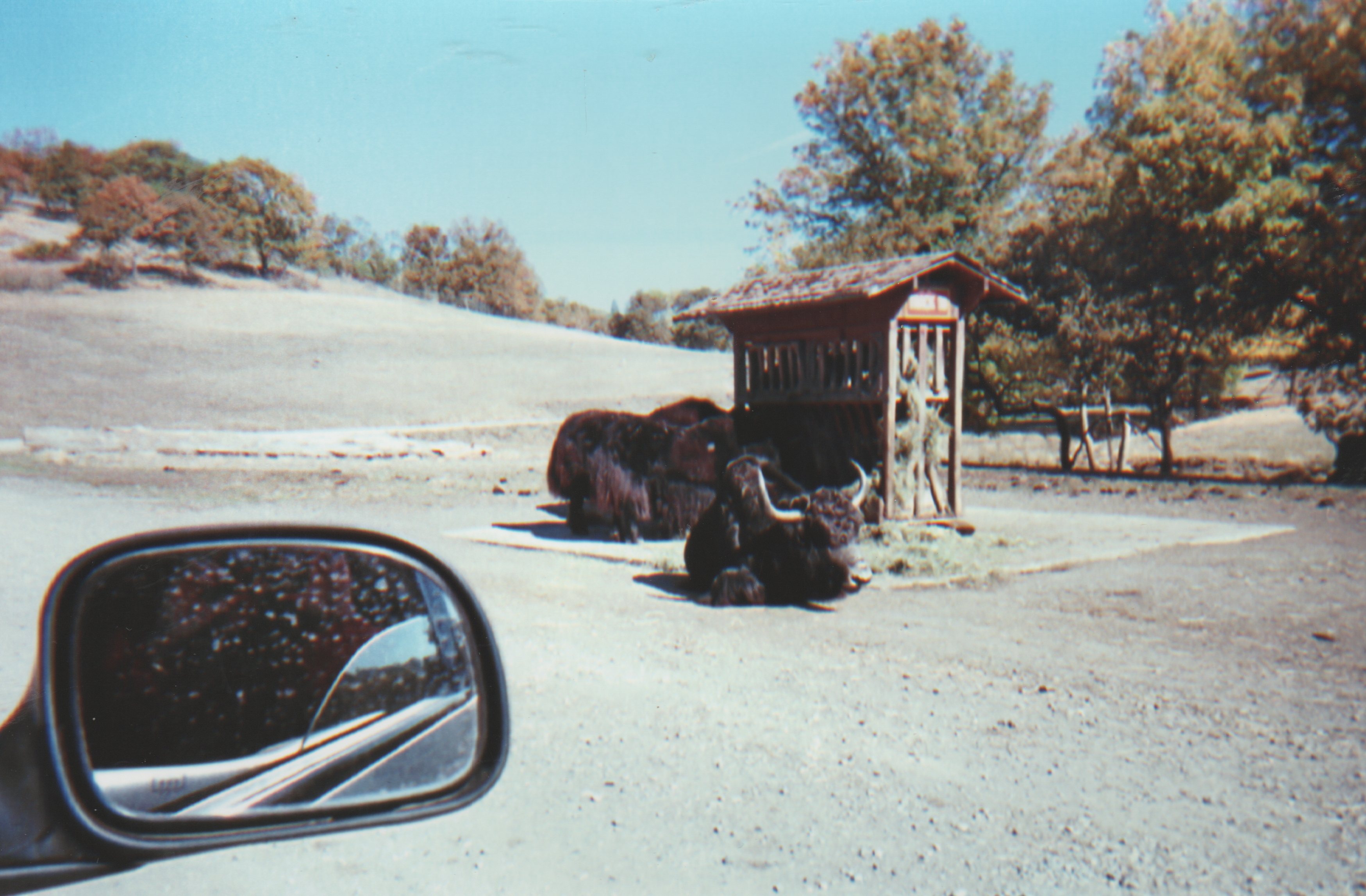 2011-06-11 - Reunion - Wedding - Road Trip - Morehead, Arnold, Williams, California-07.jpg