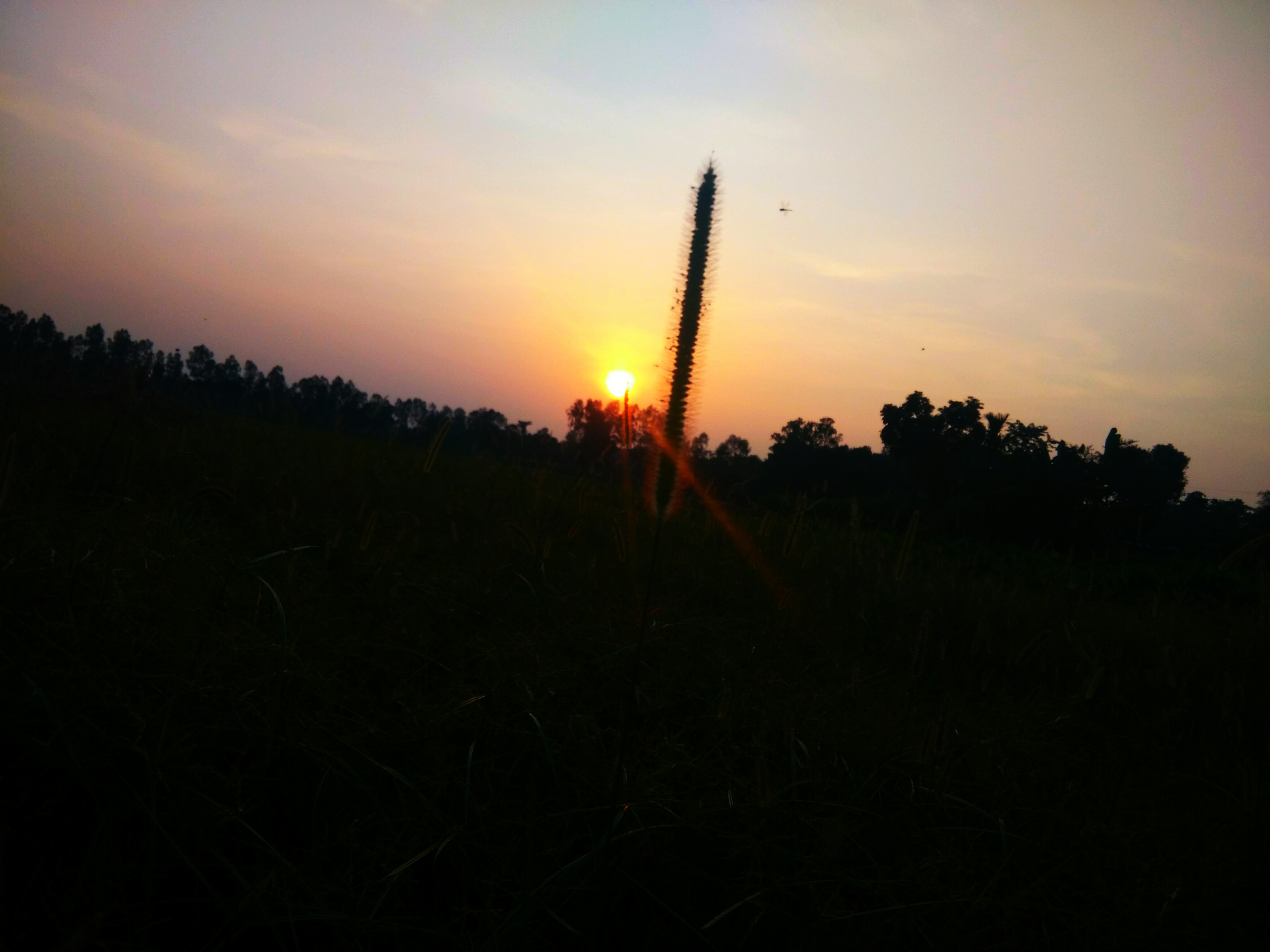 IMG_20200702_221415.jpg