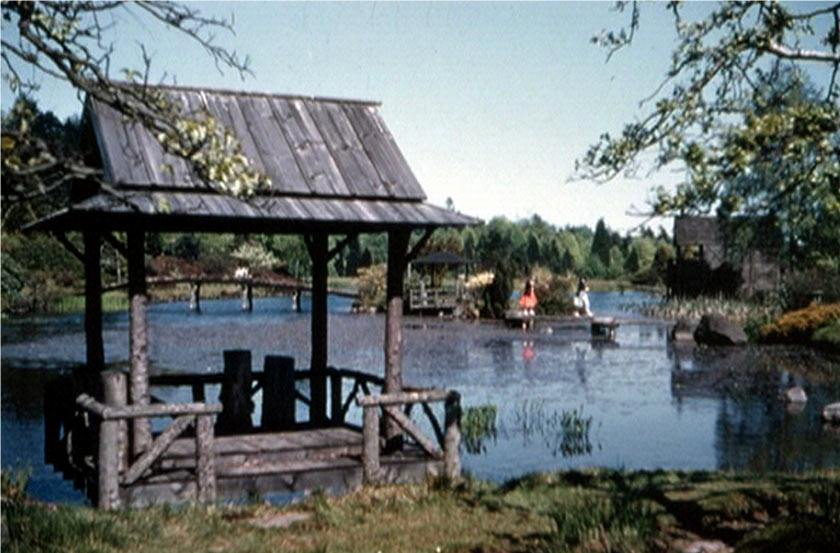 japanese-garden-may-1955-b.jpg