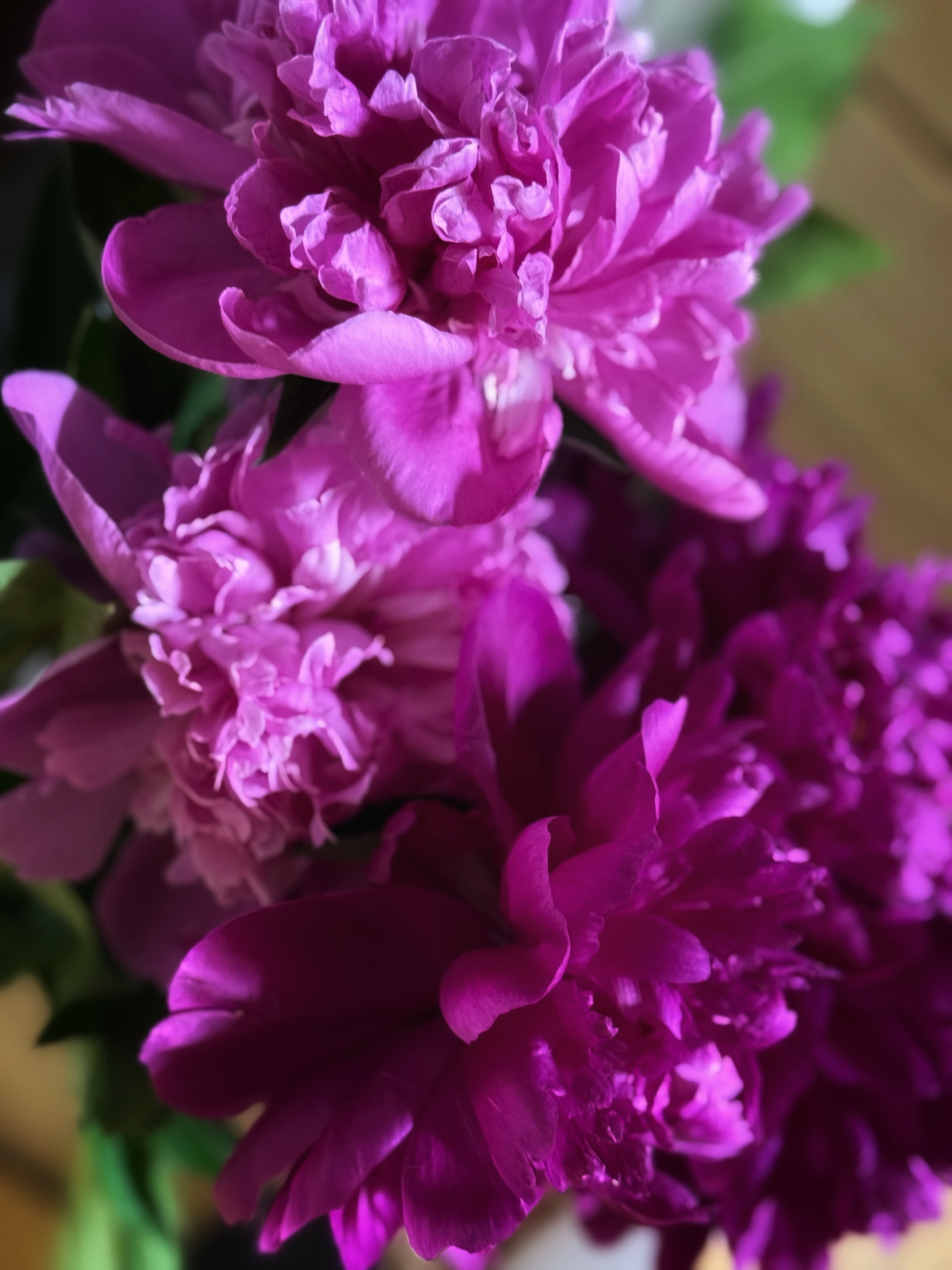 IMG_3386.jpeg