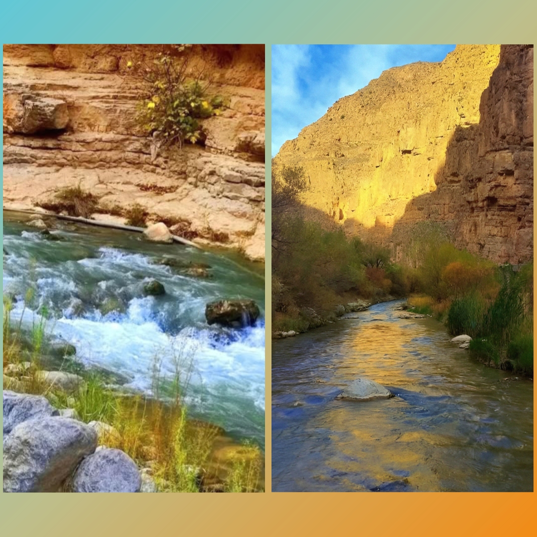 https://images.hive.blog/DQmXMidWypB1ZvoyhLNR2w7Cs76U5zbFxsF649XAmm1nvWb/PhotoCollage_1751878457431.jpg