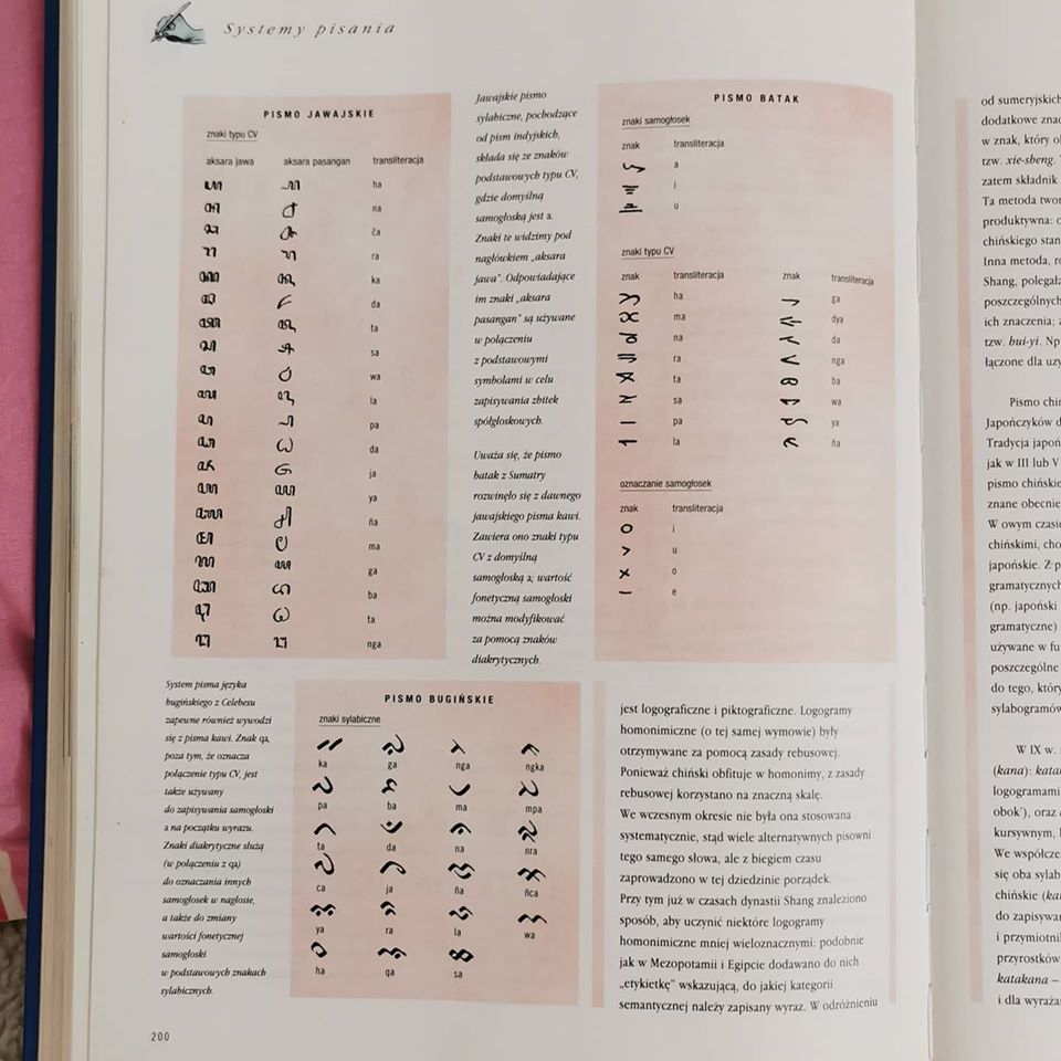 09.jpg