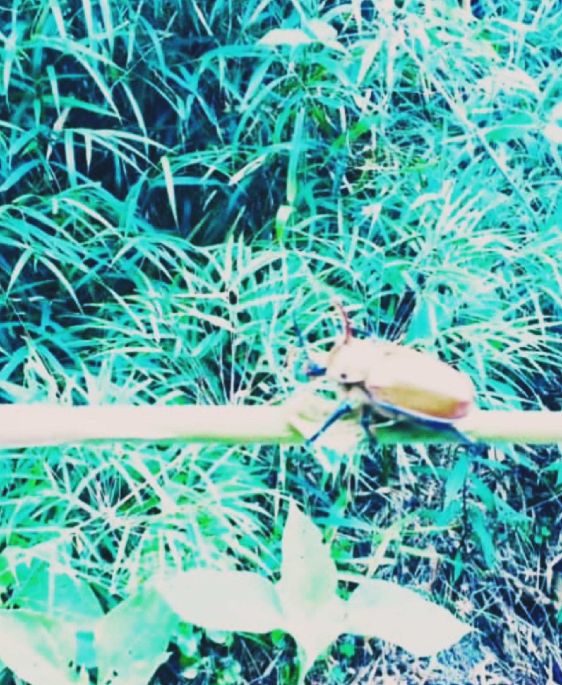 InShot_20220128_230032618.jpg